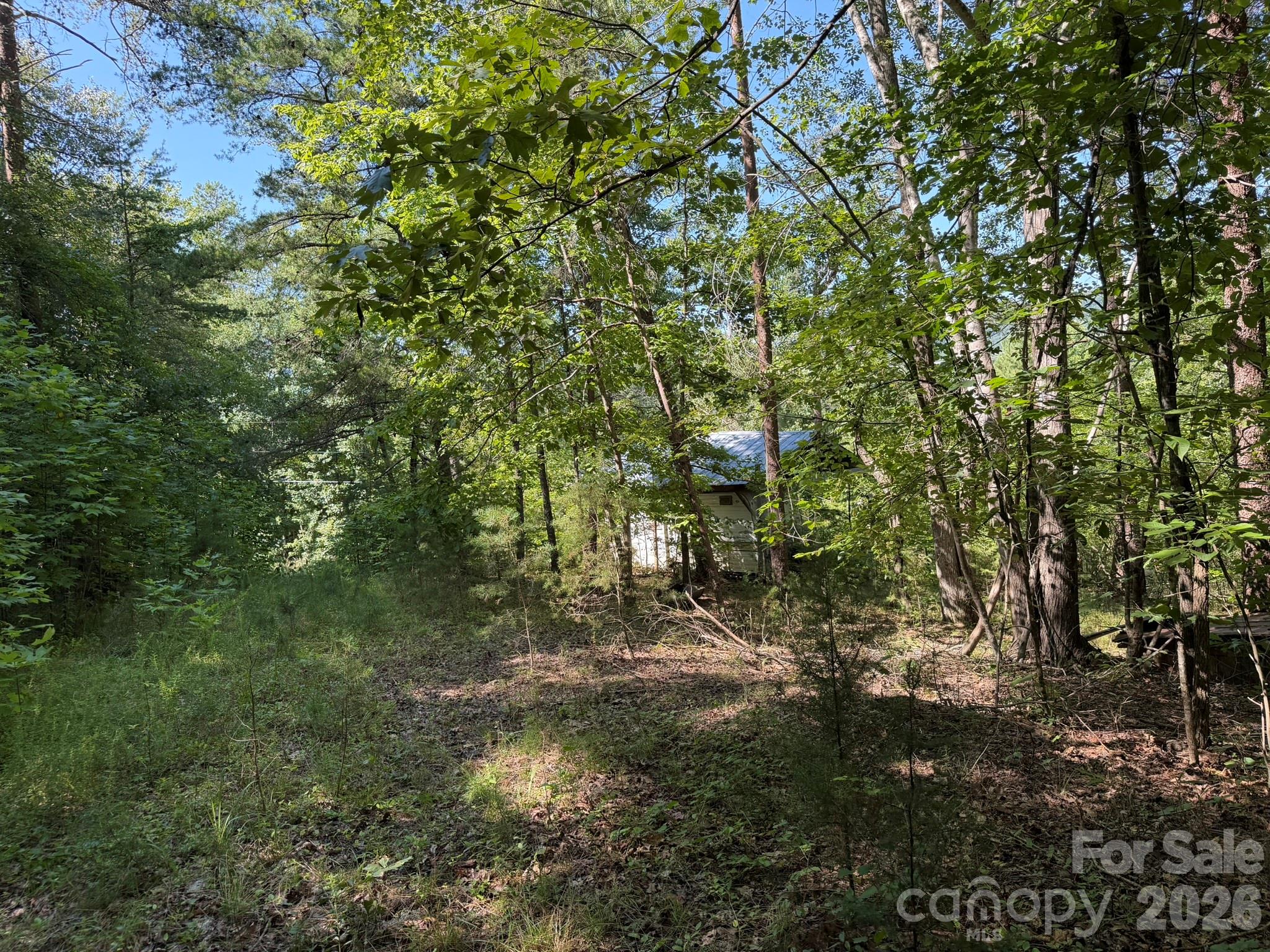 0 Liles Lane Property Photo 42