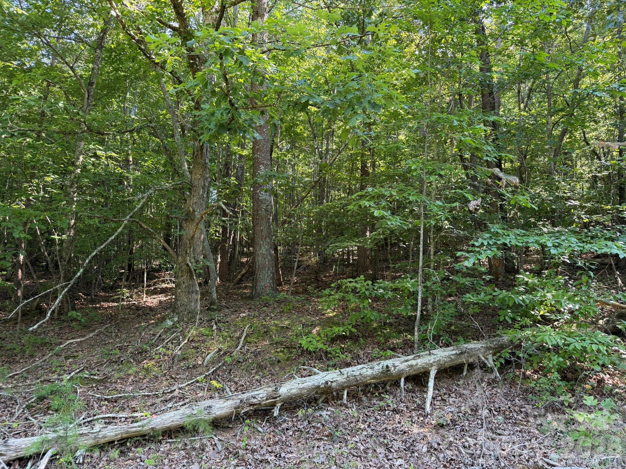 0 Liles Lane Property Photo 43