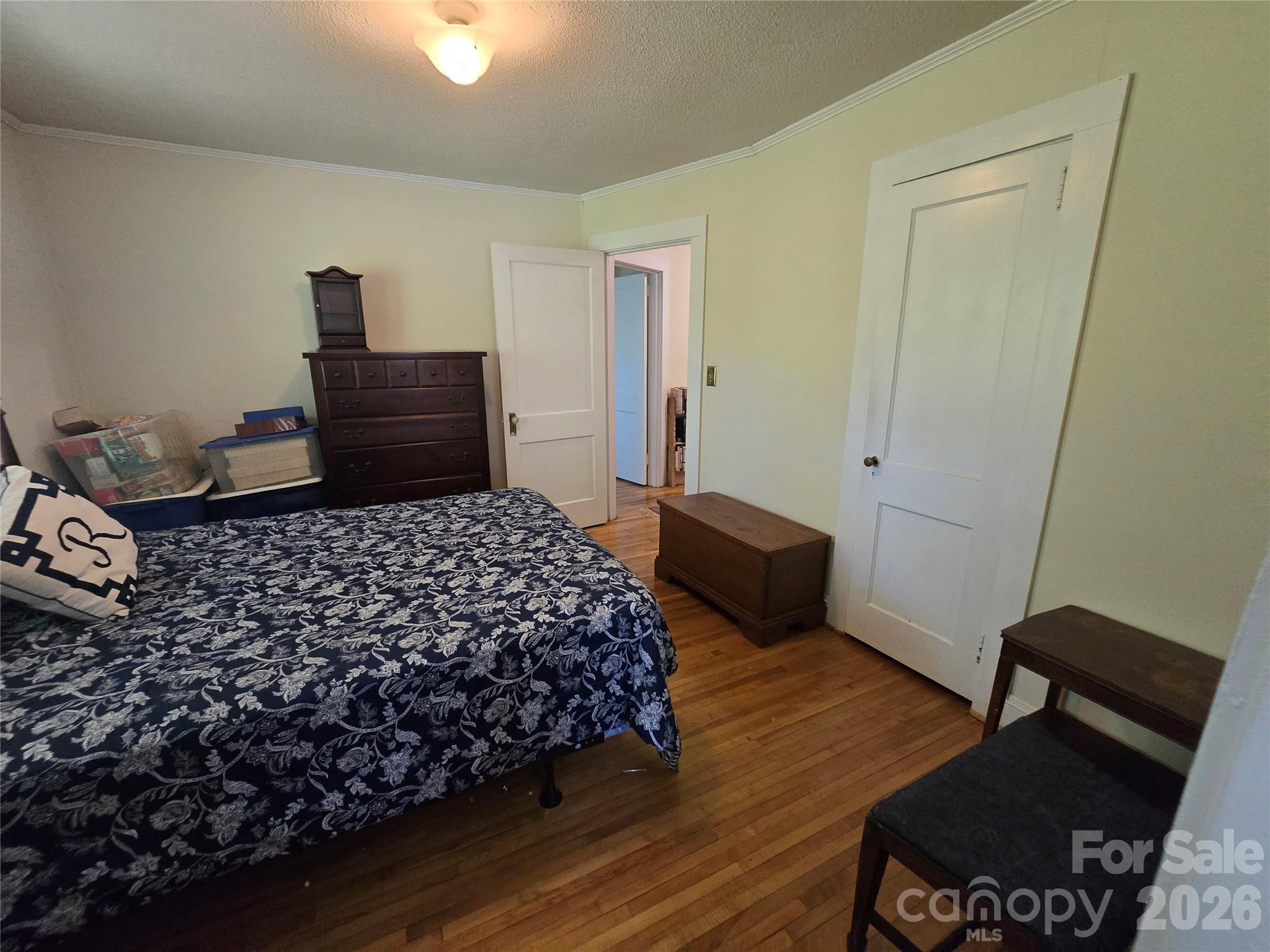 181 Williamson Street Property Photo 21