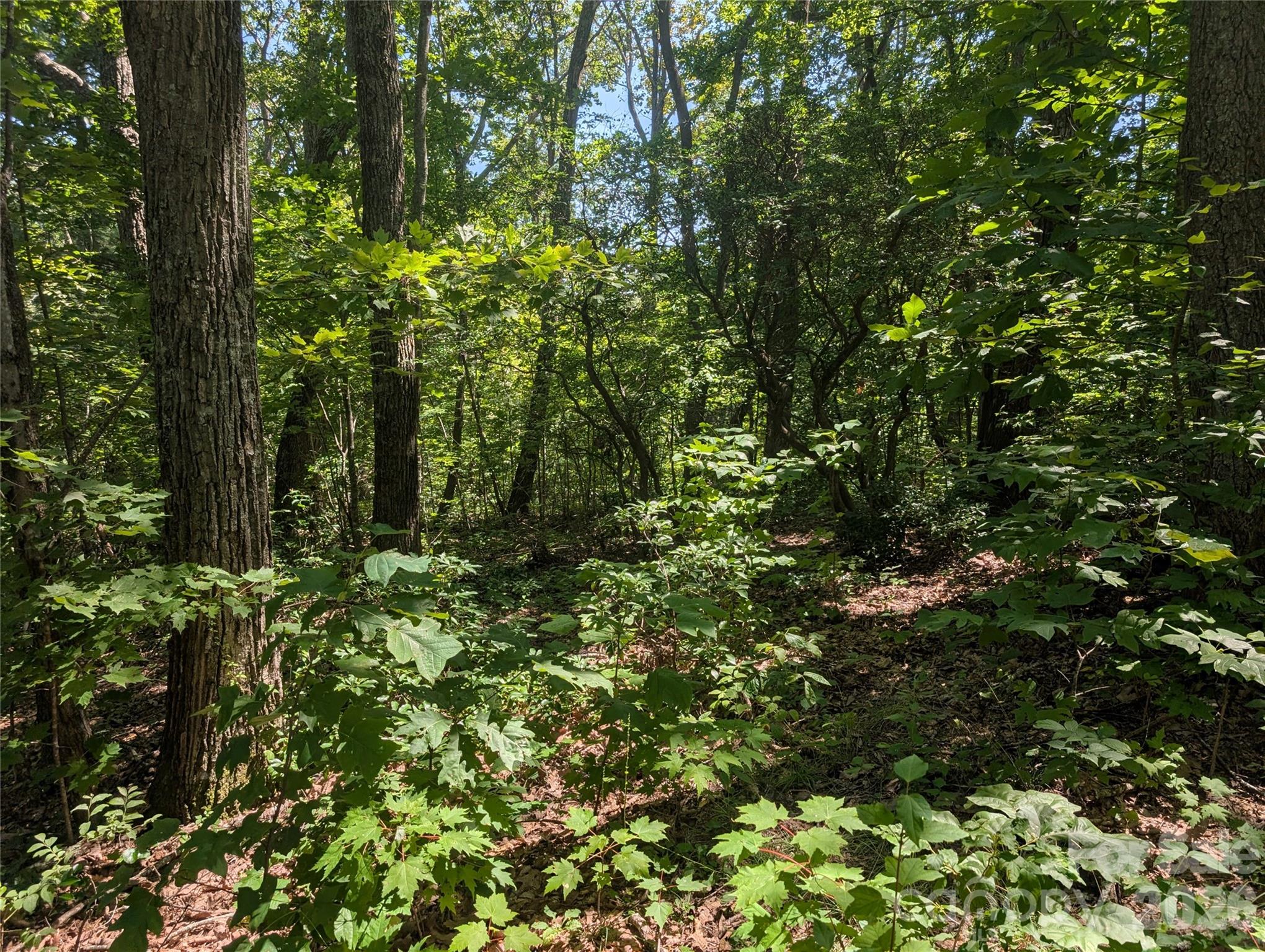 1824 Old Mill Road Property Photo 1