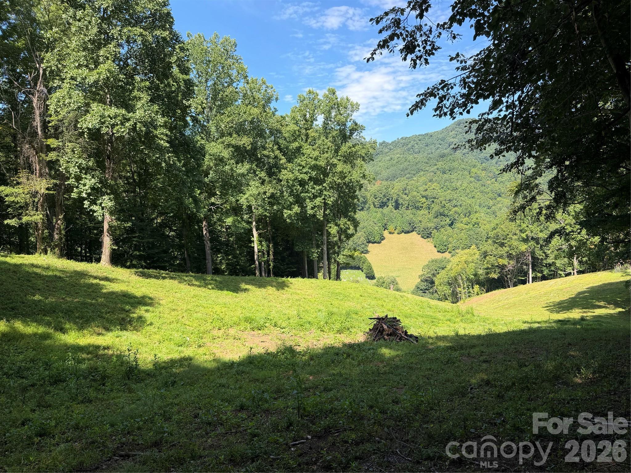 4281 Prices Creek Road Property Photo 6
