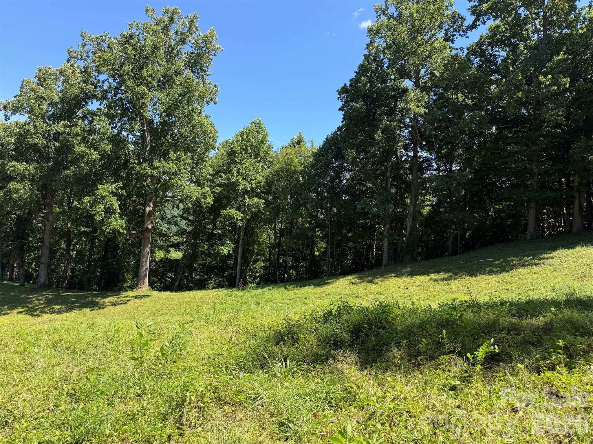 4281 Prices Creek Road Property Photo 10