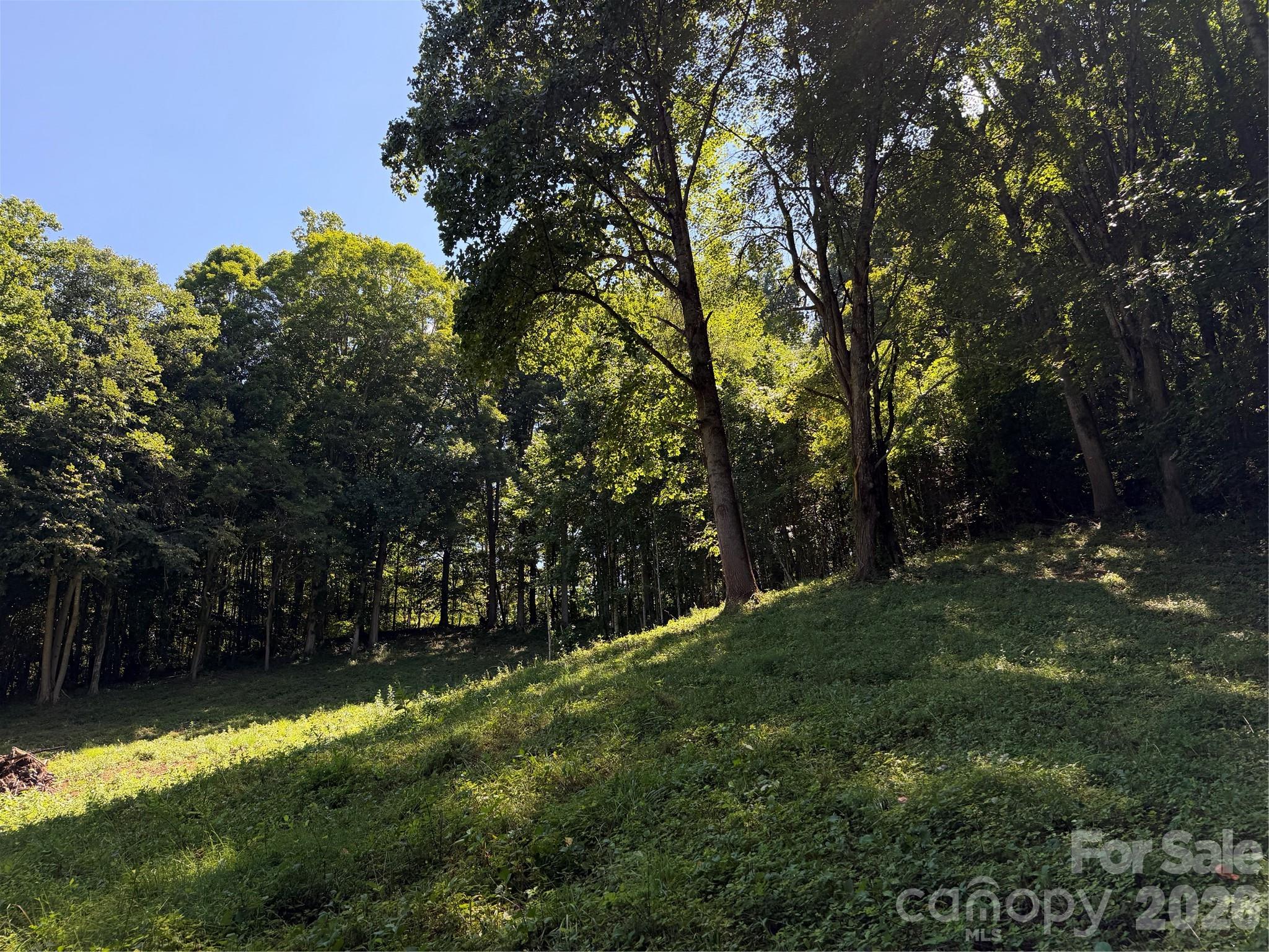4281 Prices Creek Road Property Photo 11