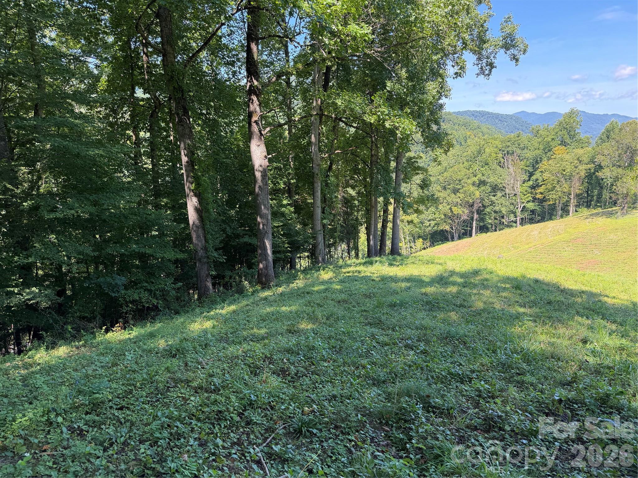 4281 Prices Creek Road Property Photo 13