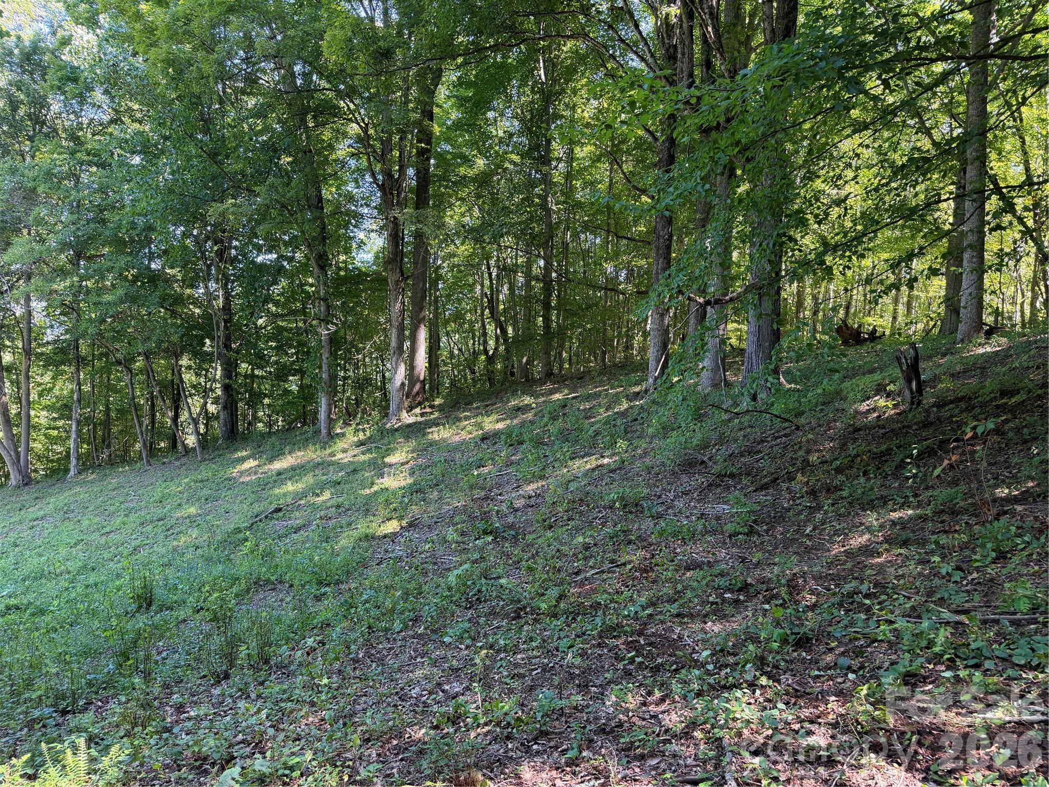 4281 Prices Creek Road Property Photo 15