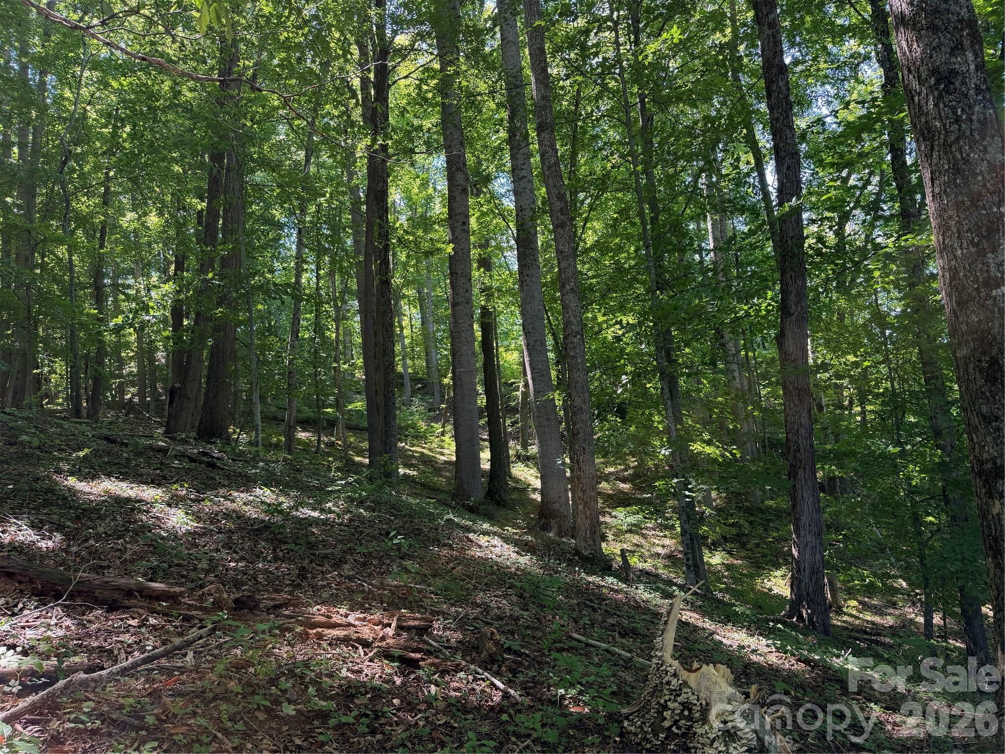 4281 Prices Creek Road Property Photo 16