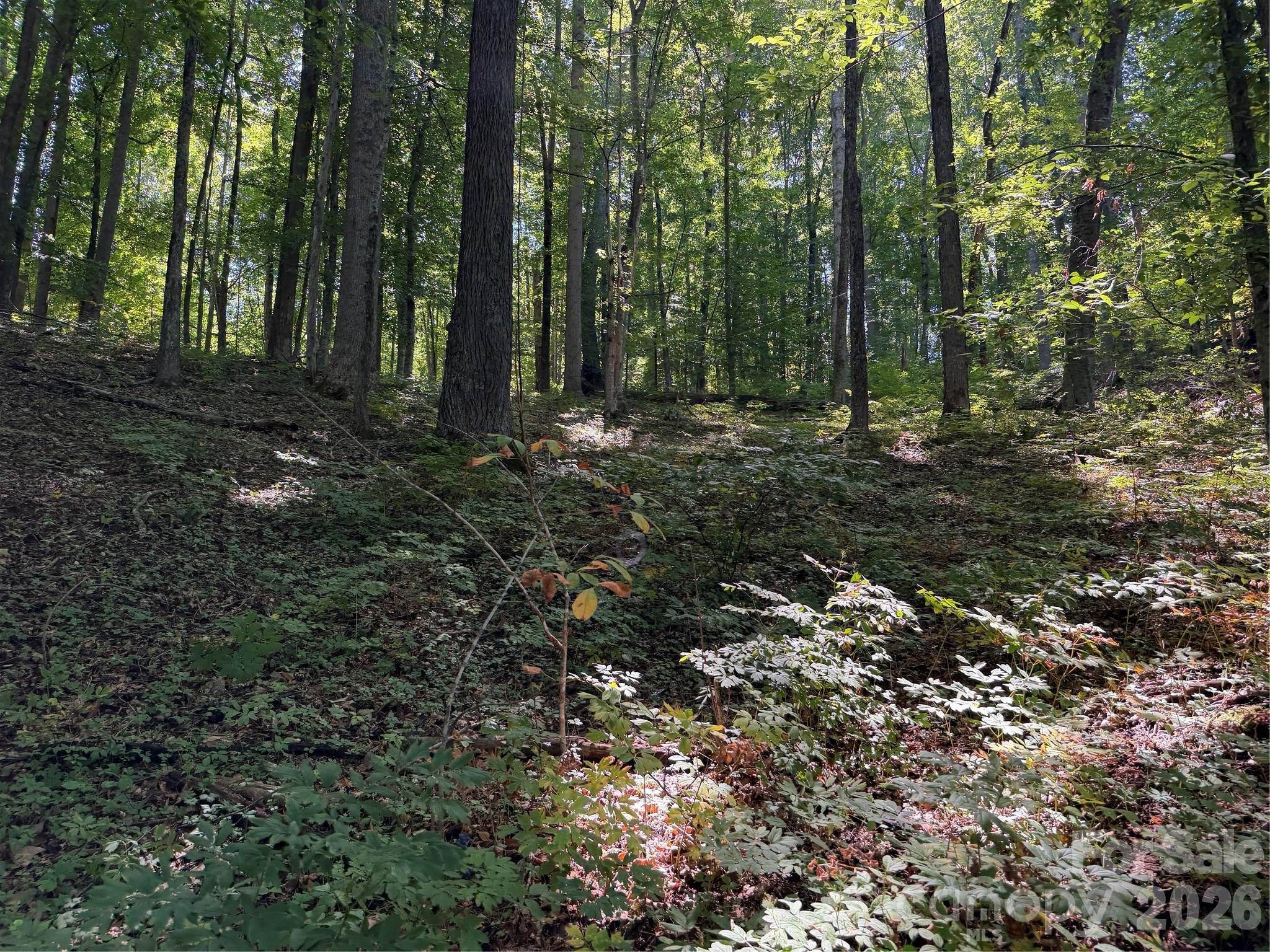 4281 Prices Creek Road Property Photo 17
