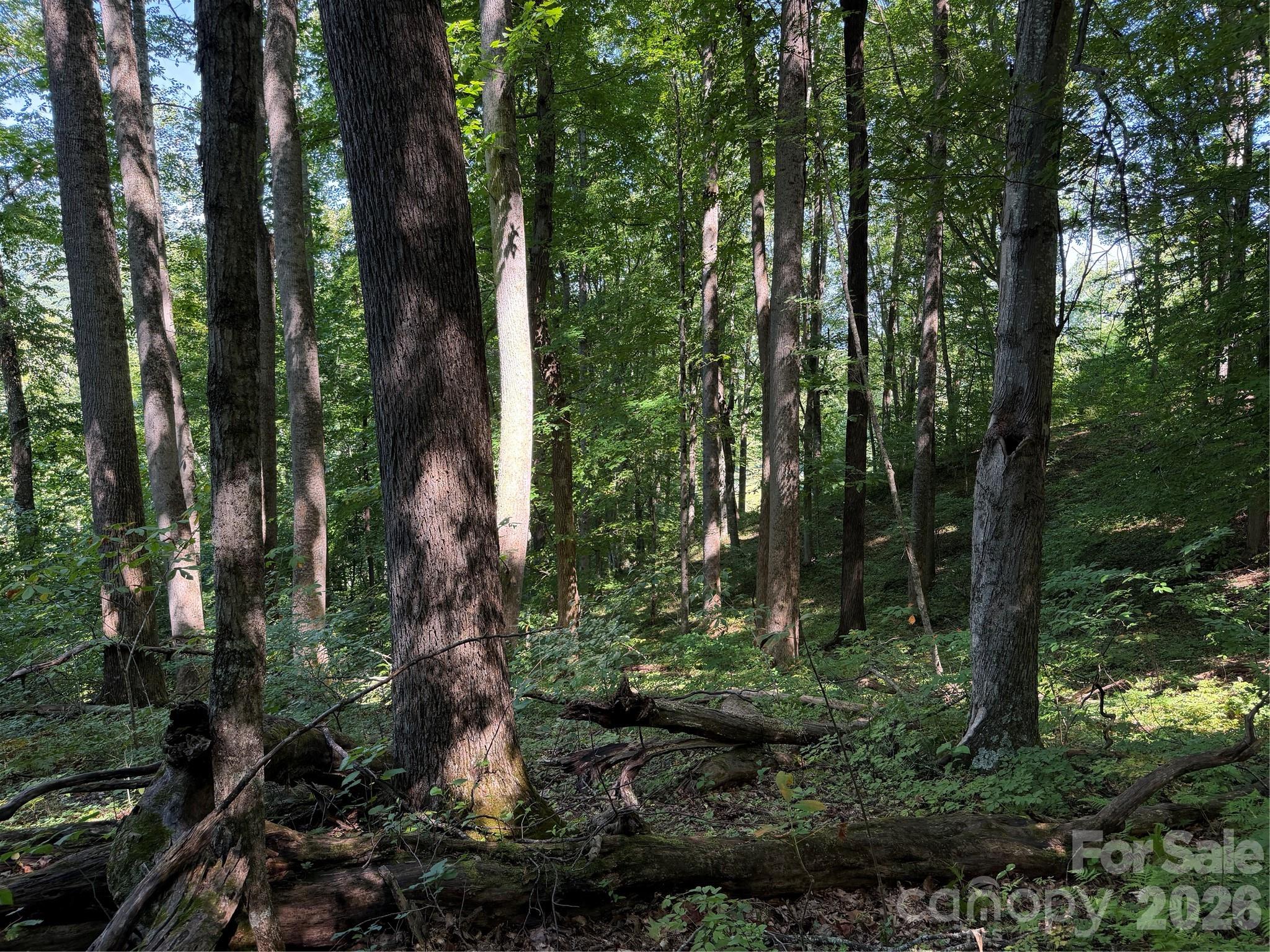 4281 Prices Creek Road Property Photo 18