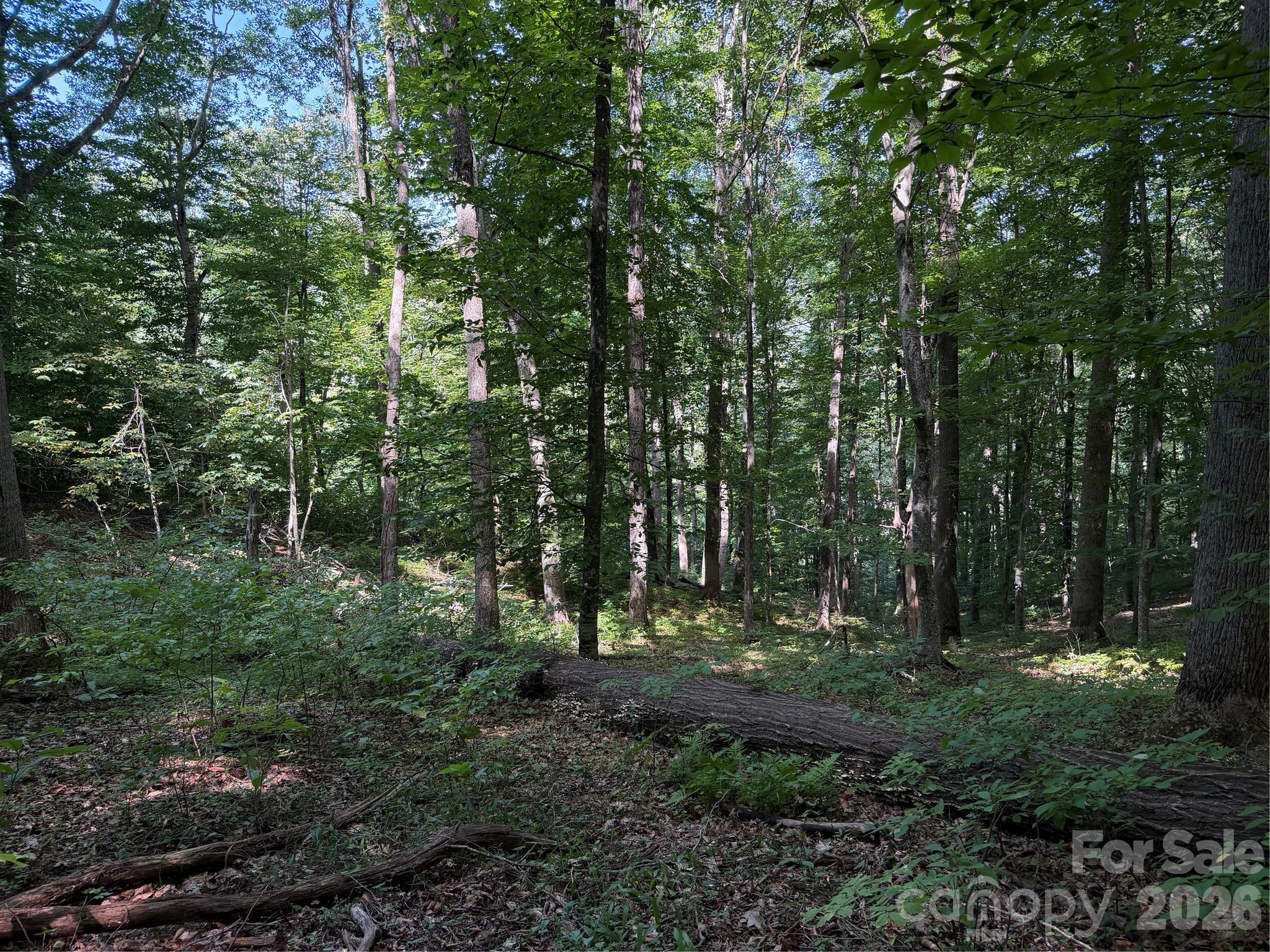 4281 Prices Creek Road Property Photo 19