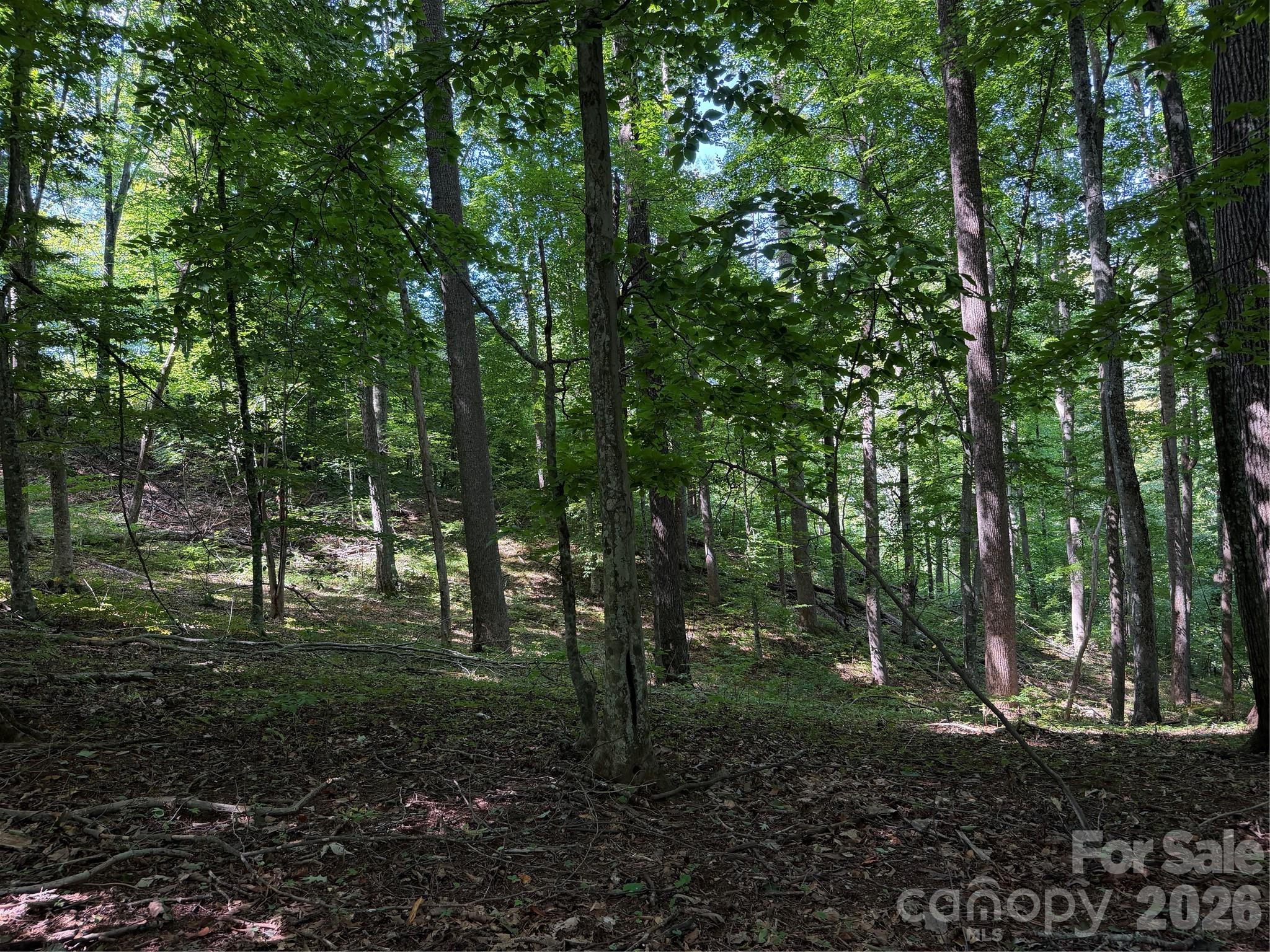 4281 Prices Creek Road Property Photo 20