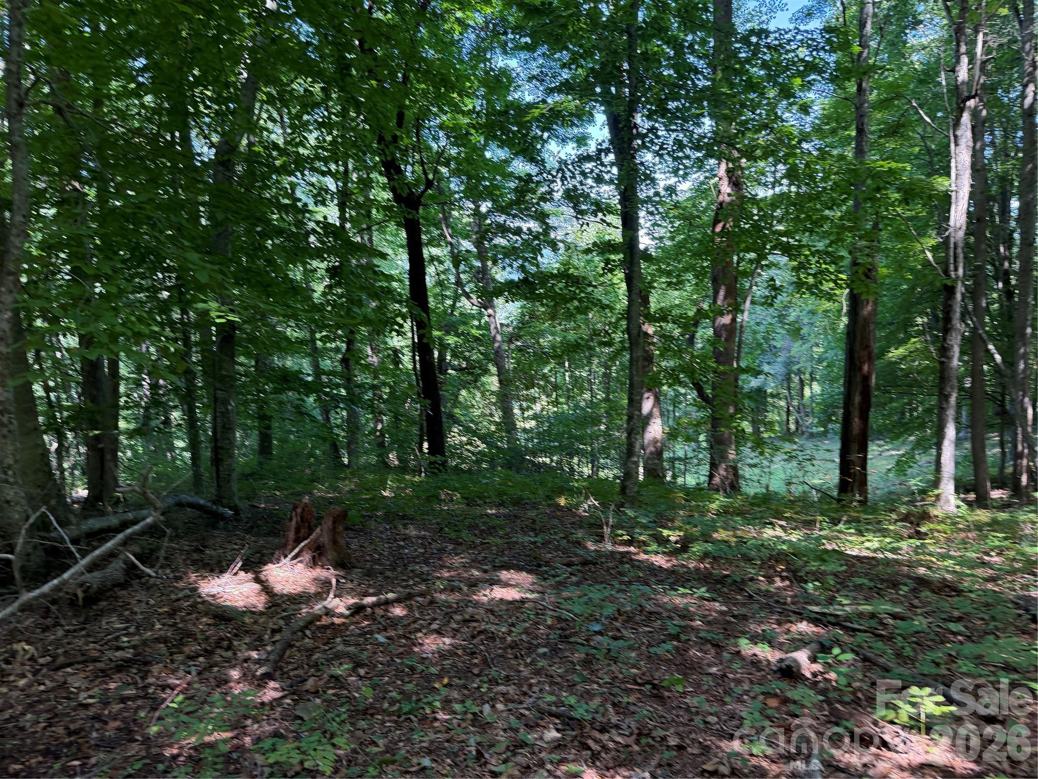 4281 Prices Creek Road Property Photo 21