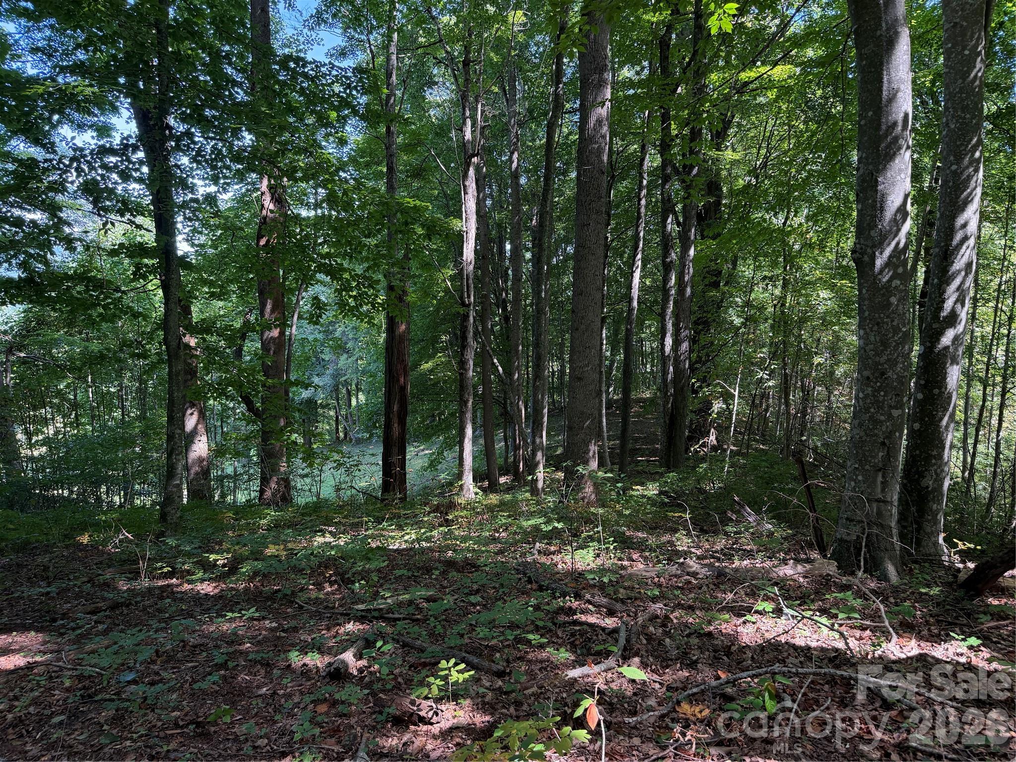 4281 Prices Creek Road Property Photo 22