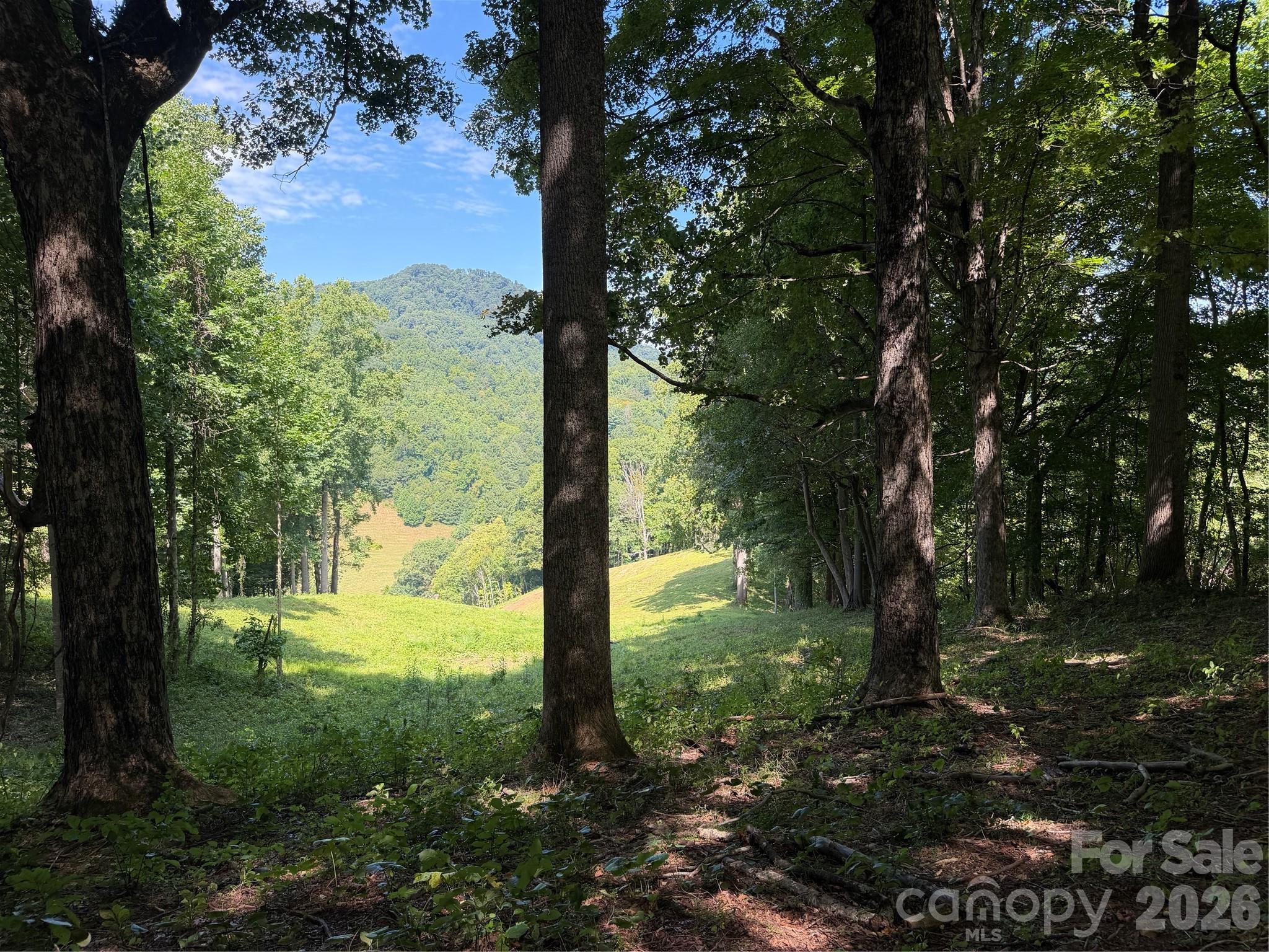 4281 Prices Creek Road Property Photo 23