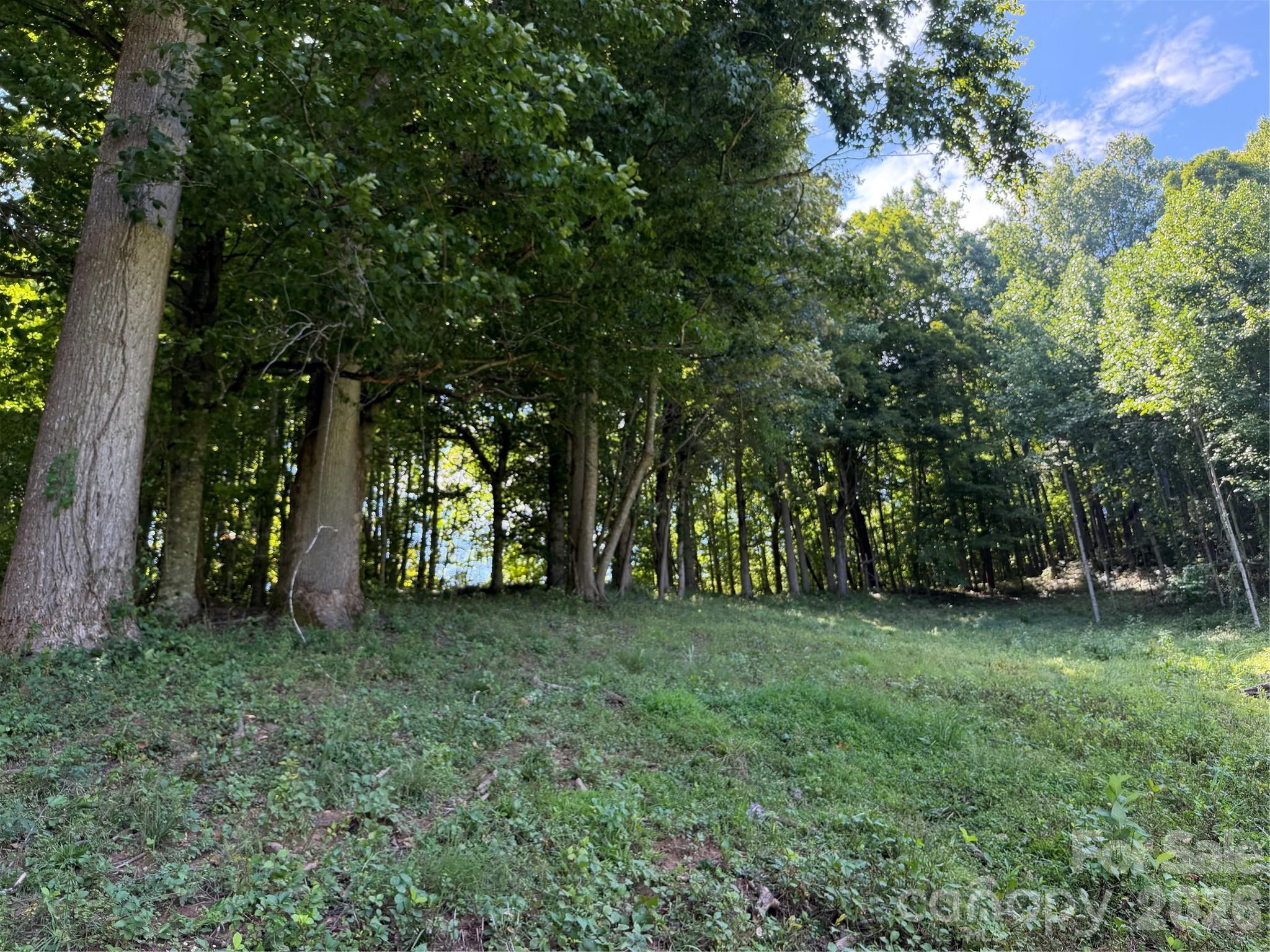 4281 Prices Creek Road Property Photo 25
