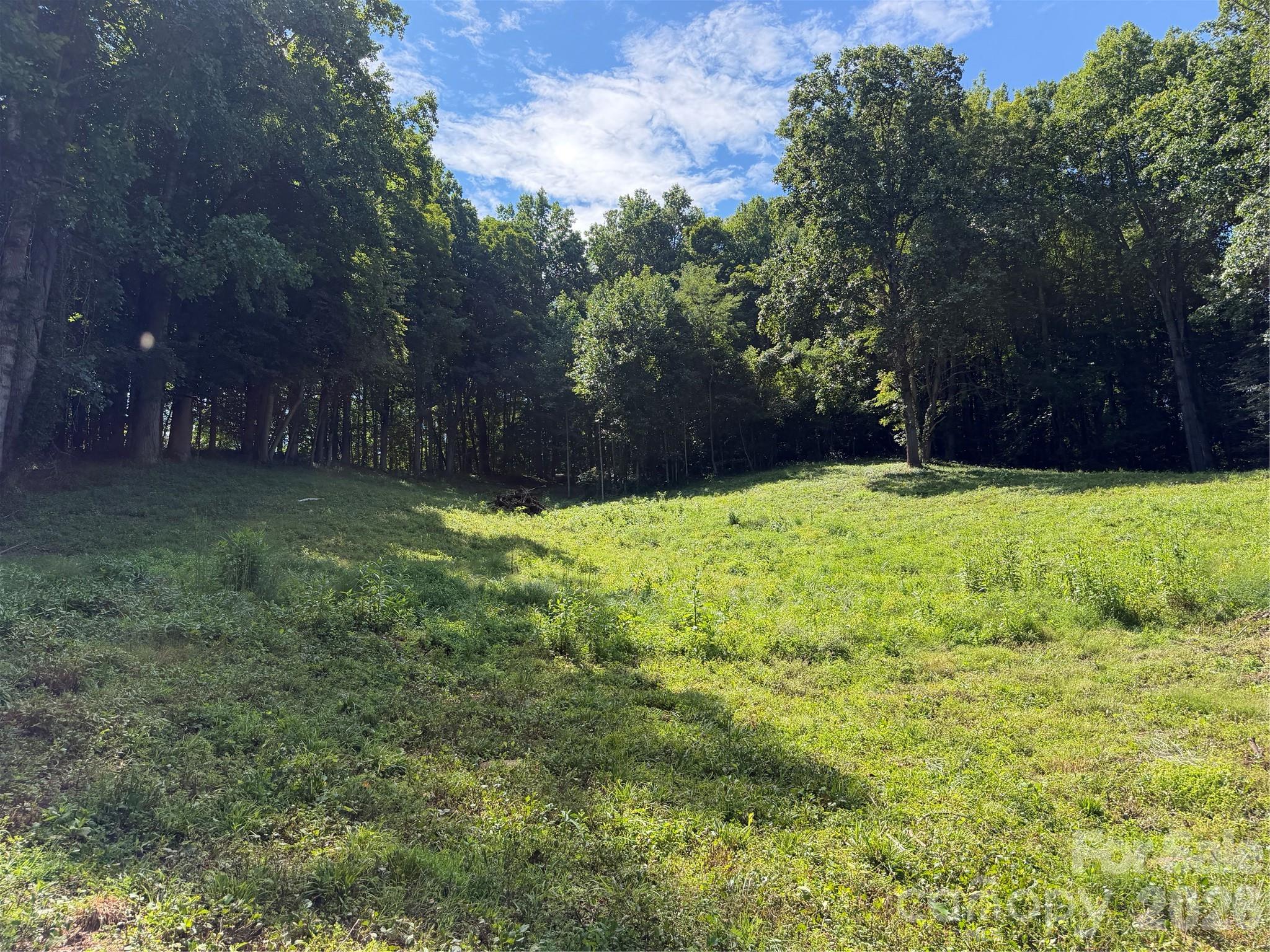 4281 Prices Creek Road Property Photo 26