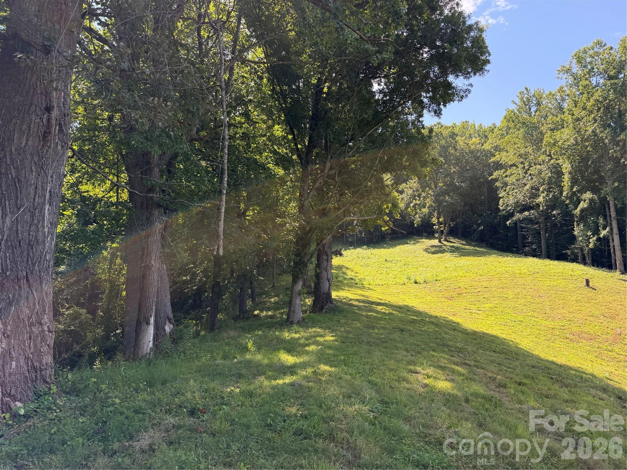 4281 Prices Creek Road Property Photo 27