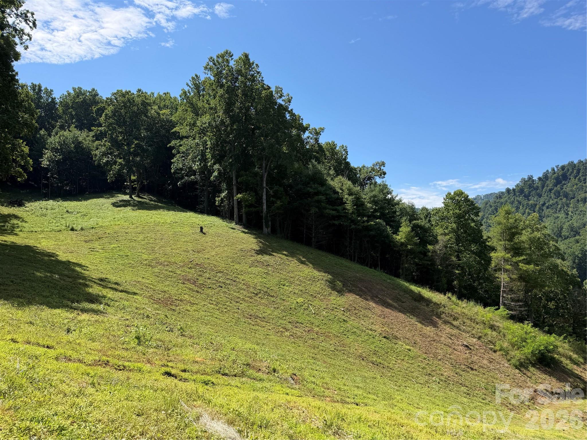 4281 Prices Creek Road Property Photo 28