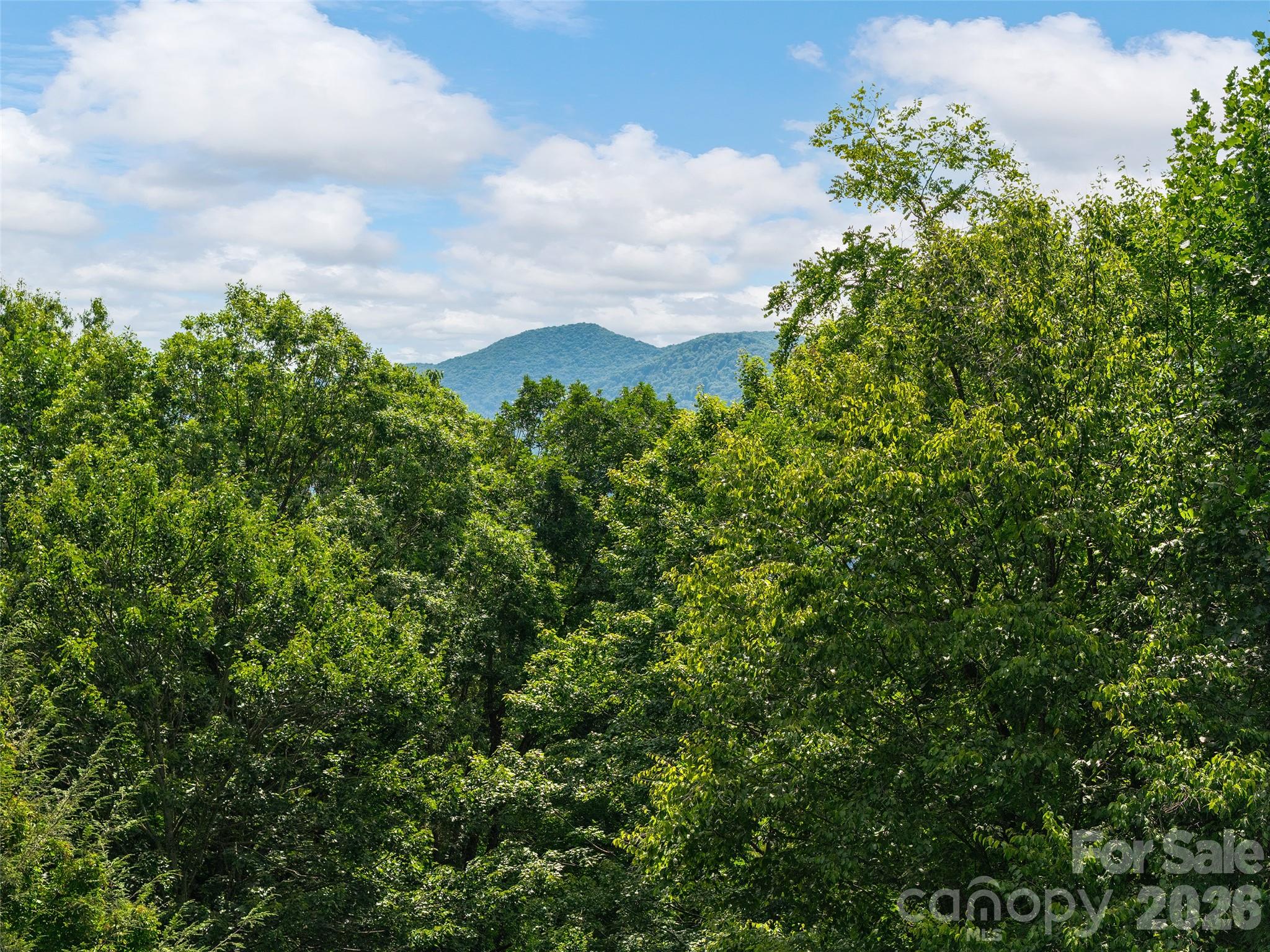 474 Scenic Circle Property Photo 26