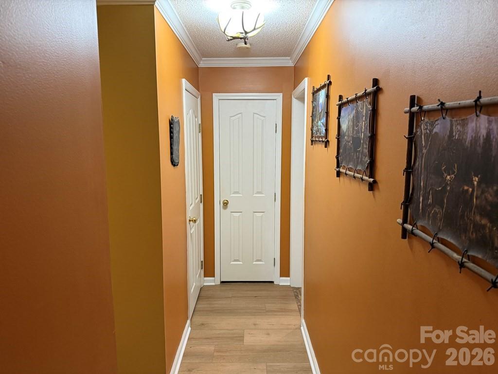 206 Bethabara Loop Property Photo 28