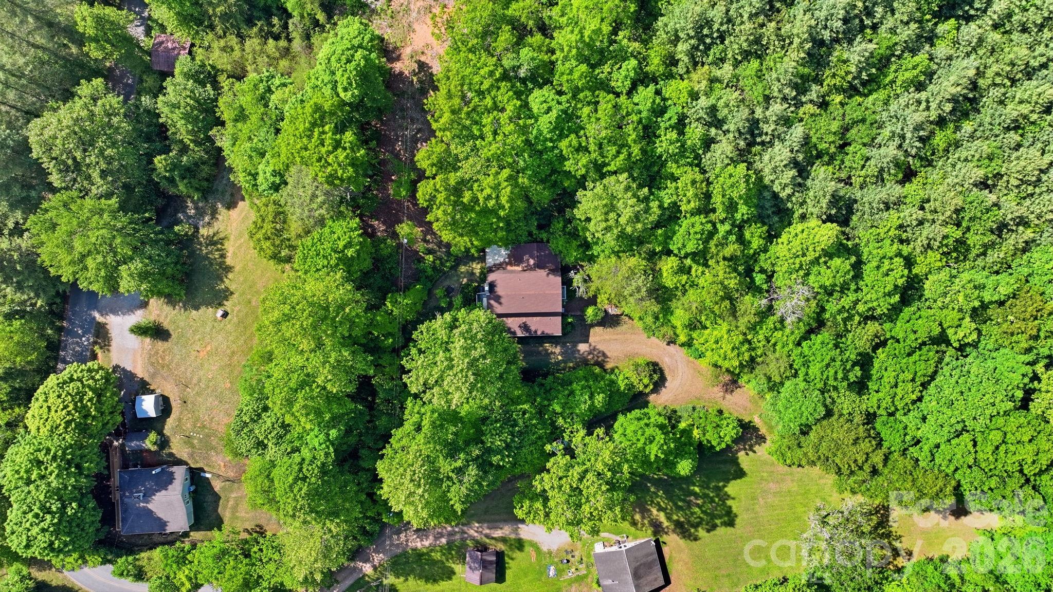 38 Pee Wee Branch Branch Property Photo 5