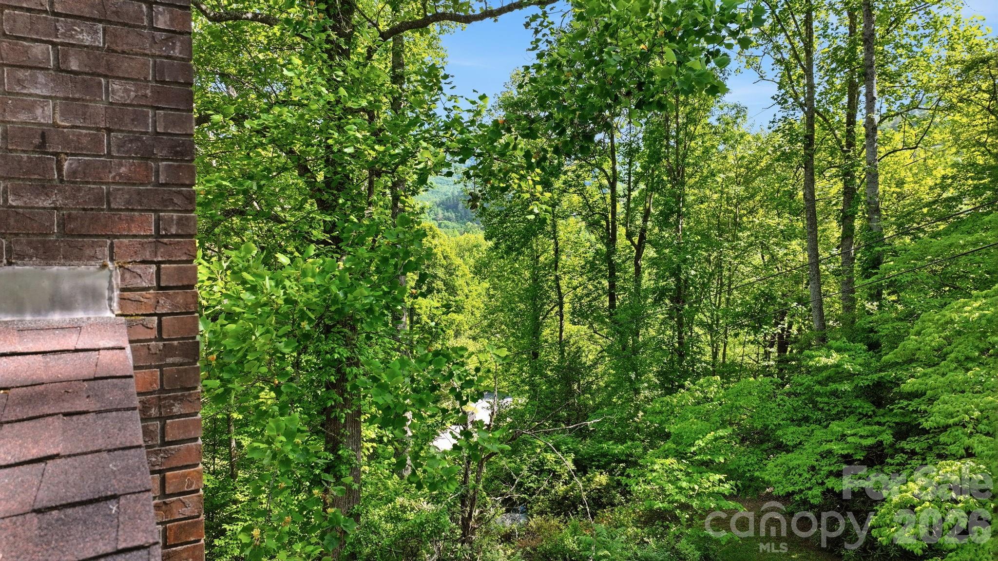 38 Pee Wee Branch Branch Property Photo 7