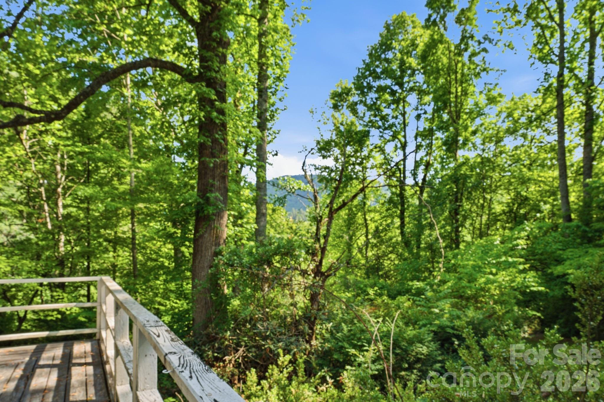 38 Pee Wee Branch Branch Property Photo 11