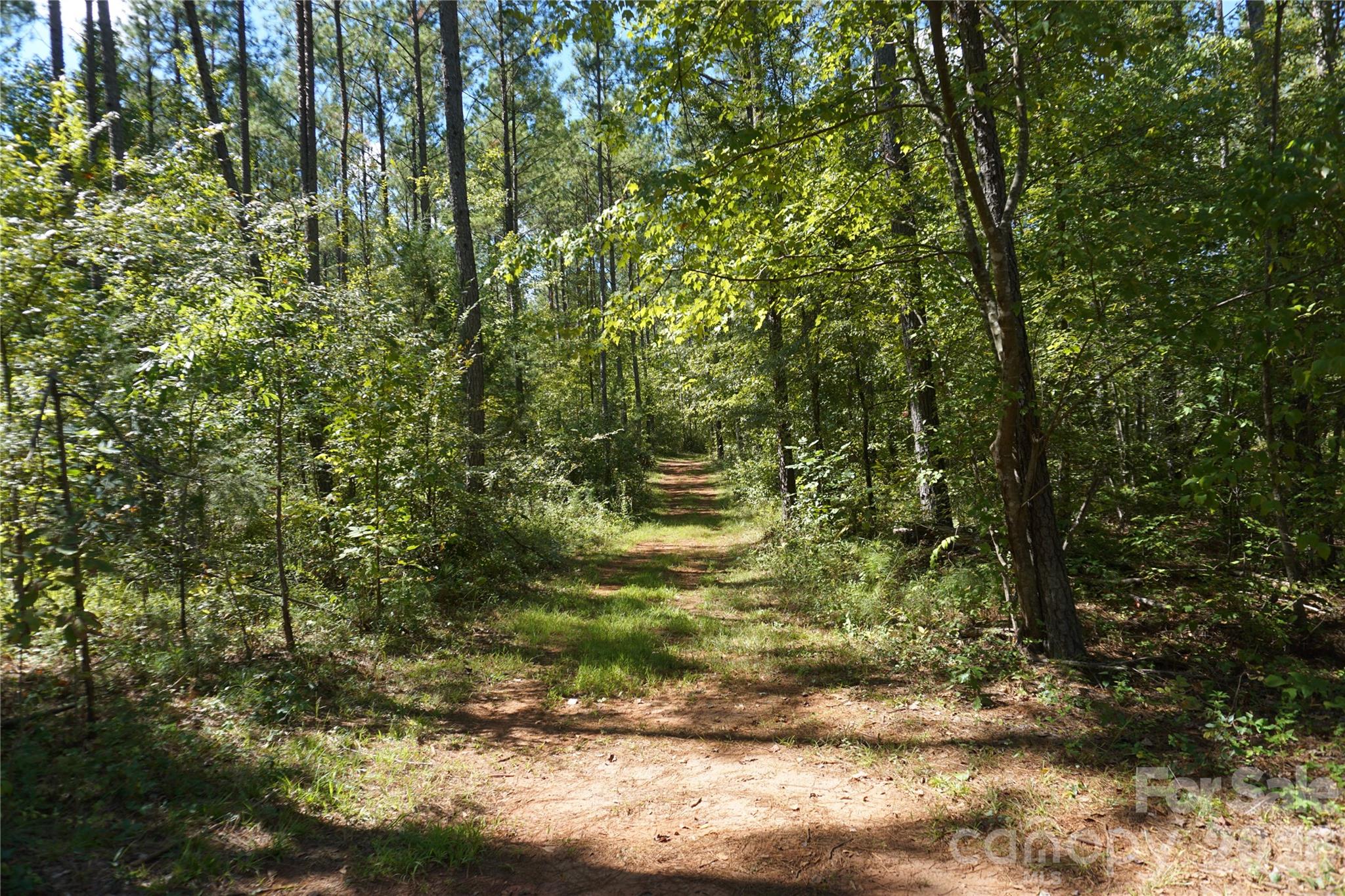 6+/- Ac Lot 1 Parson Road Property Photo 2