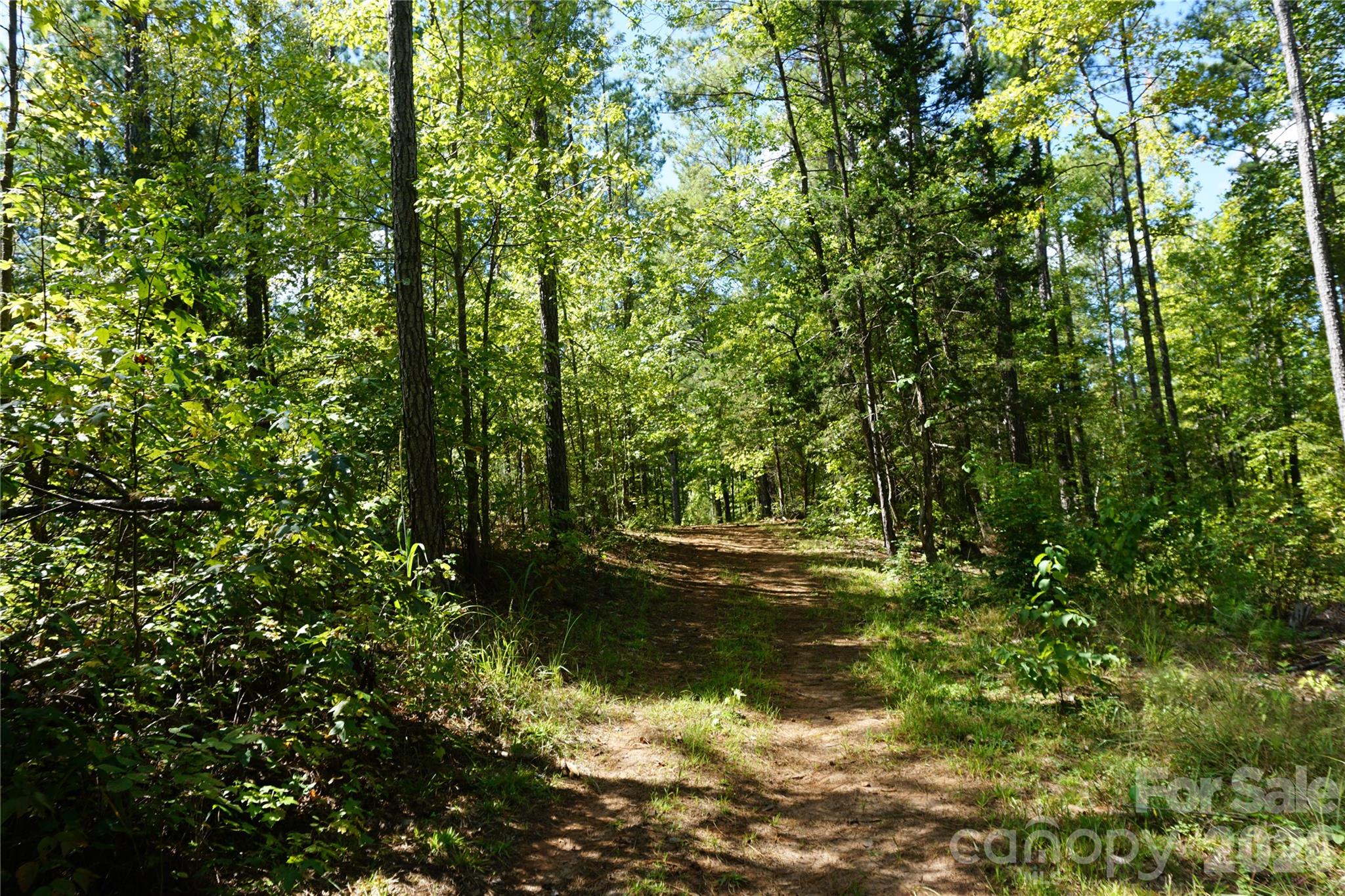 6+/- Ac Lot 1 Parson Road Property Photo 6