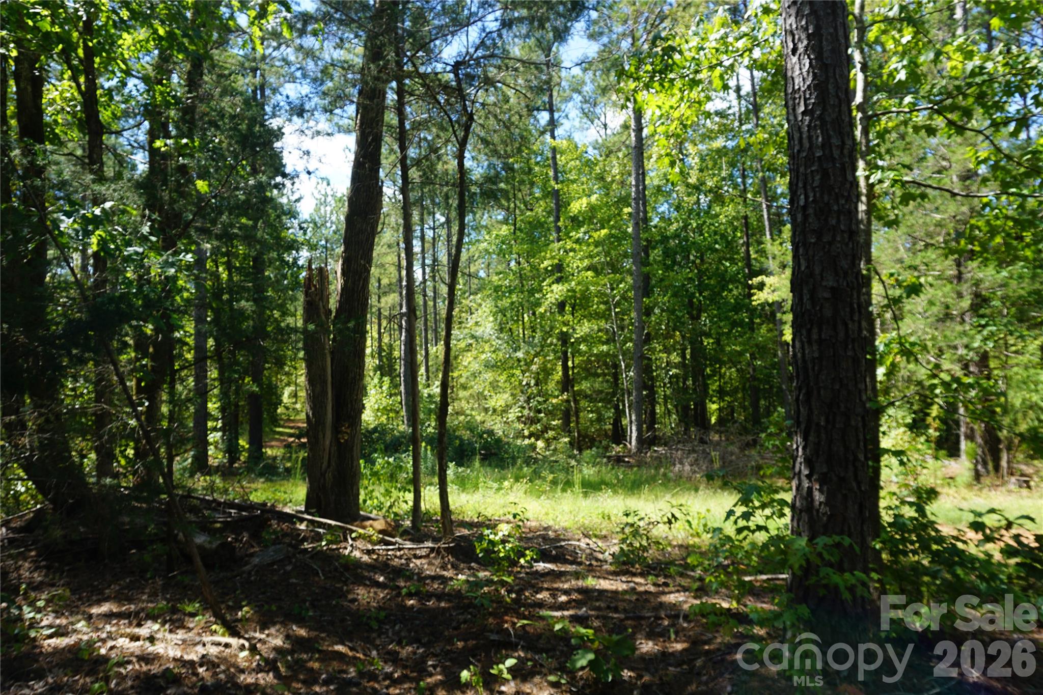 6+/- Ac Lot 1 Parson Road Property Photo 9