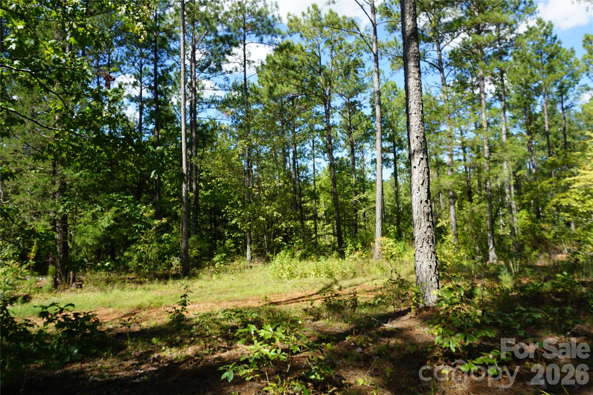 6+/- Ac Lot 1 Parson Road Property Photo 10