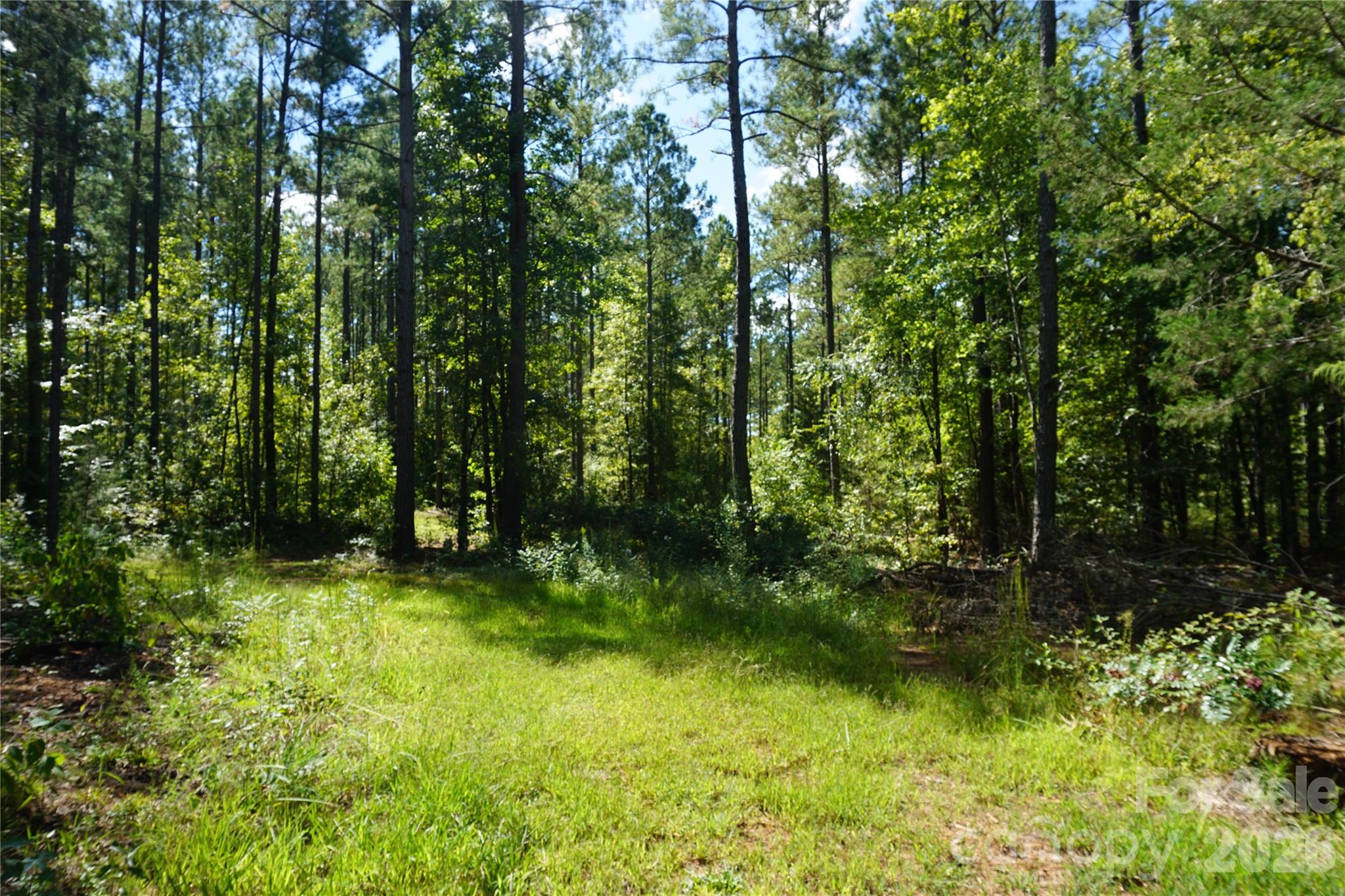 6+/- Ac Lot 1 Parson Road Property Photo 11
