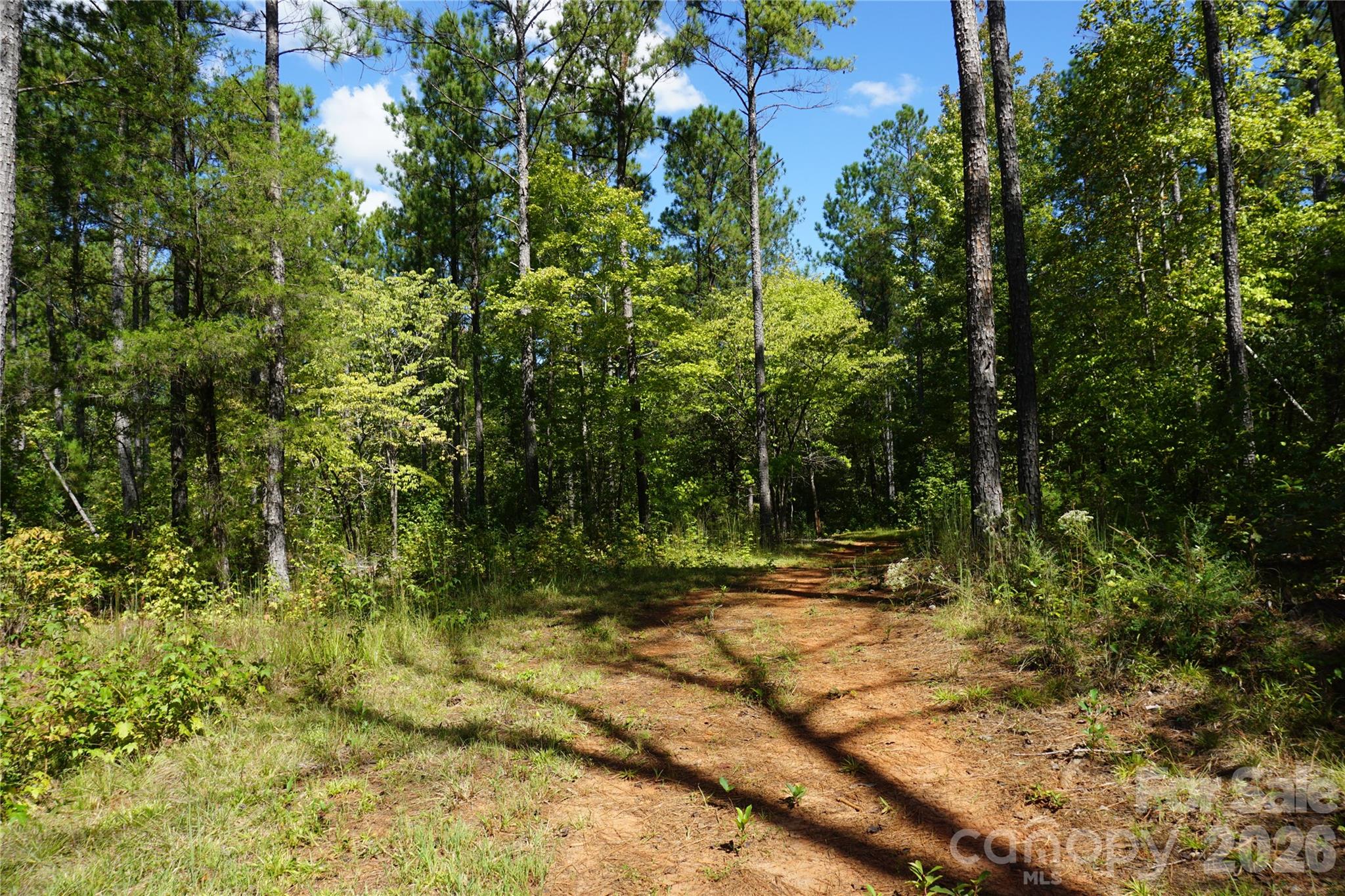 6+/- Ac Lot 1 Parson Road Property Photo 12
