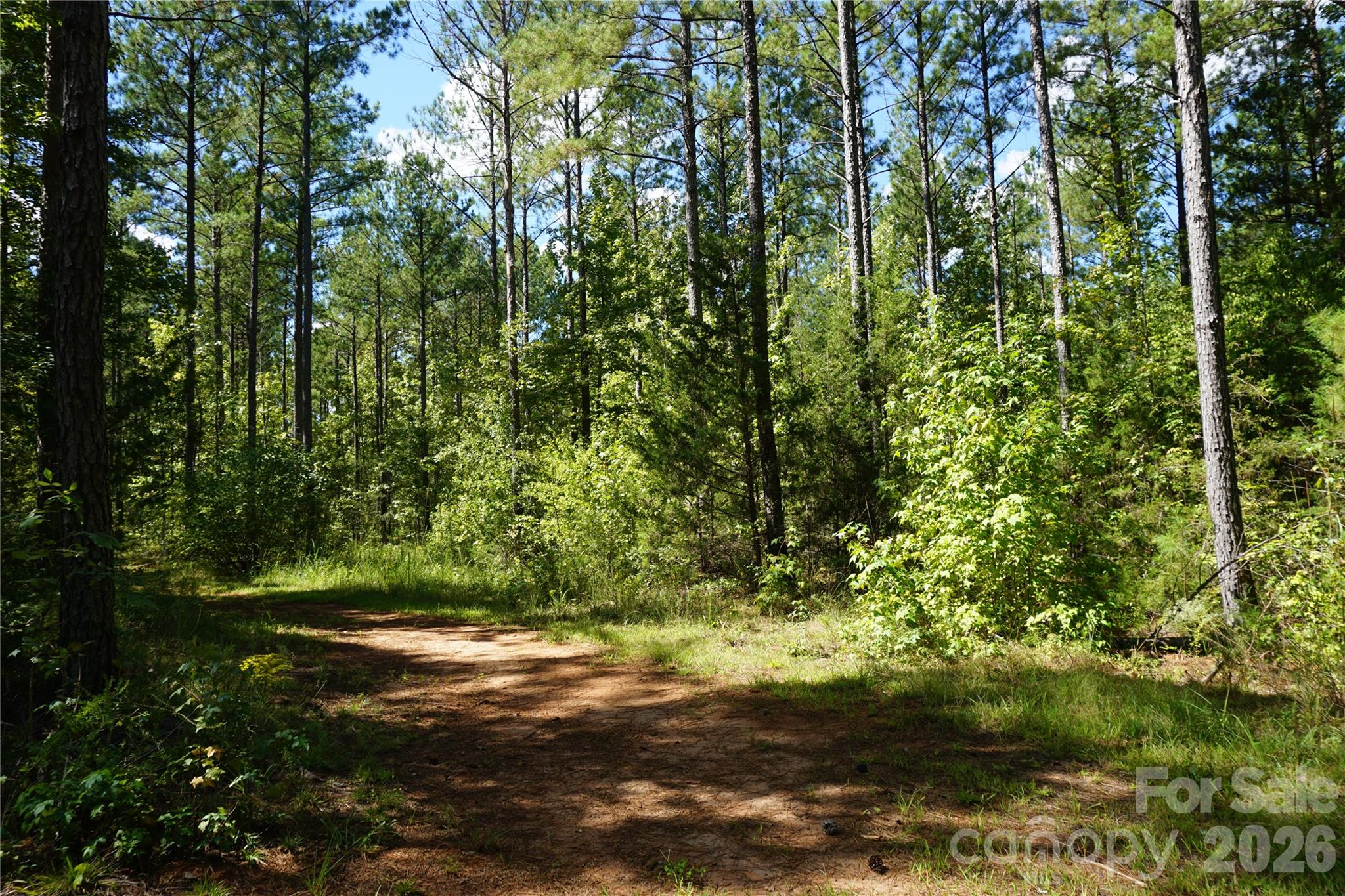 6+/- Ac Lot 1 Parson Road Property Photo 13