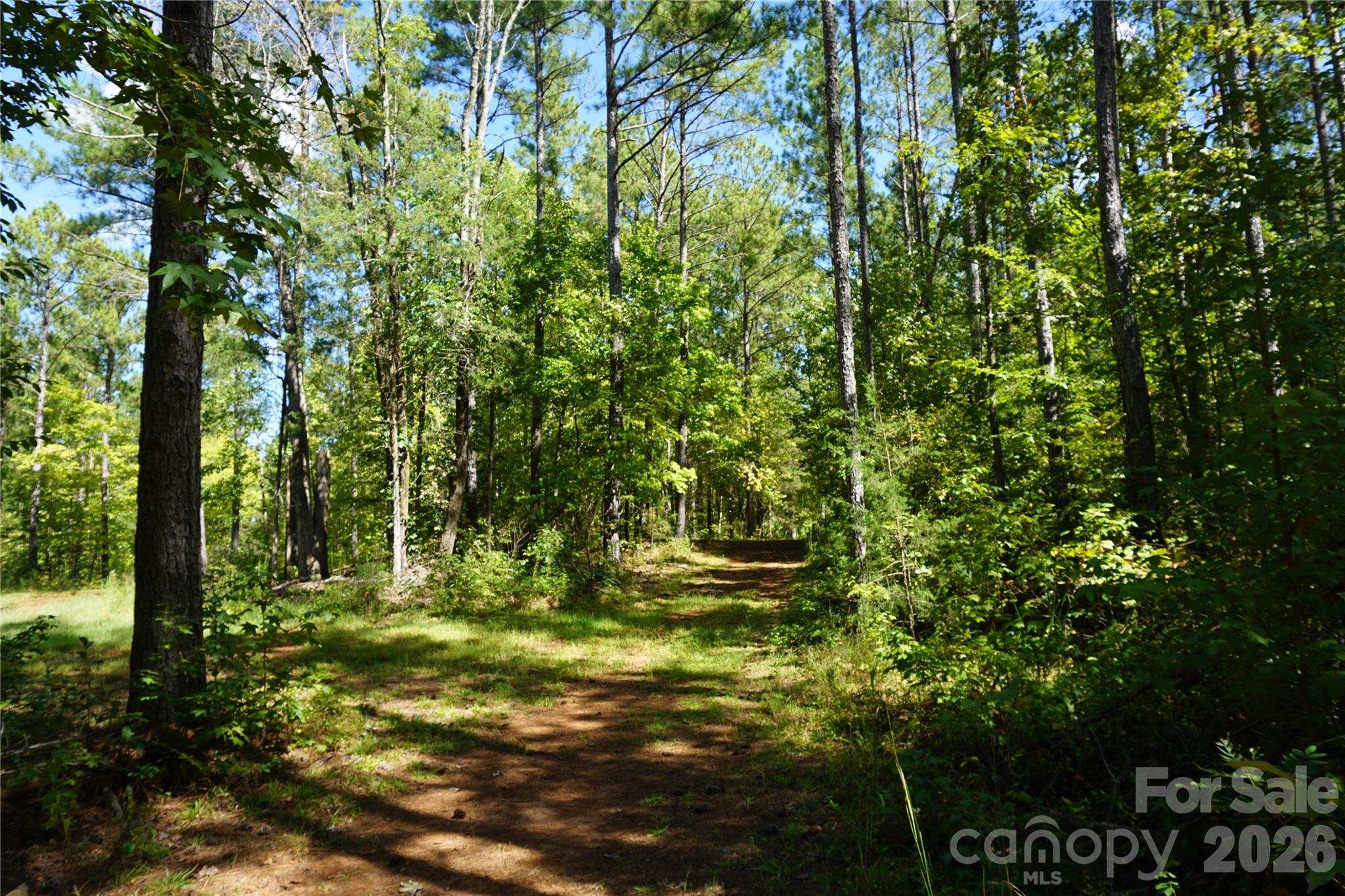 6+/- Ac Lot 1 Parson Road Property Photo 14