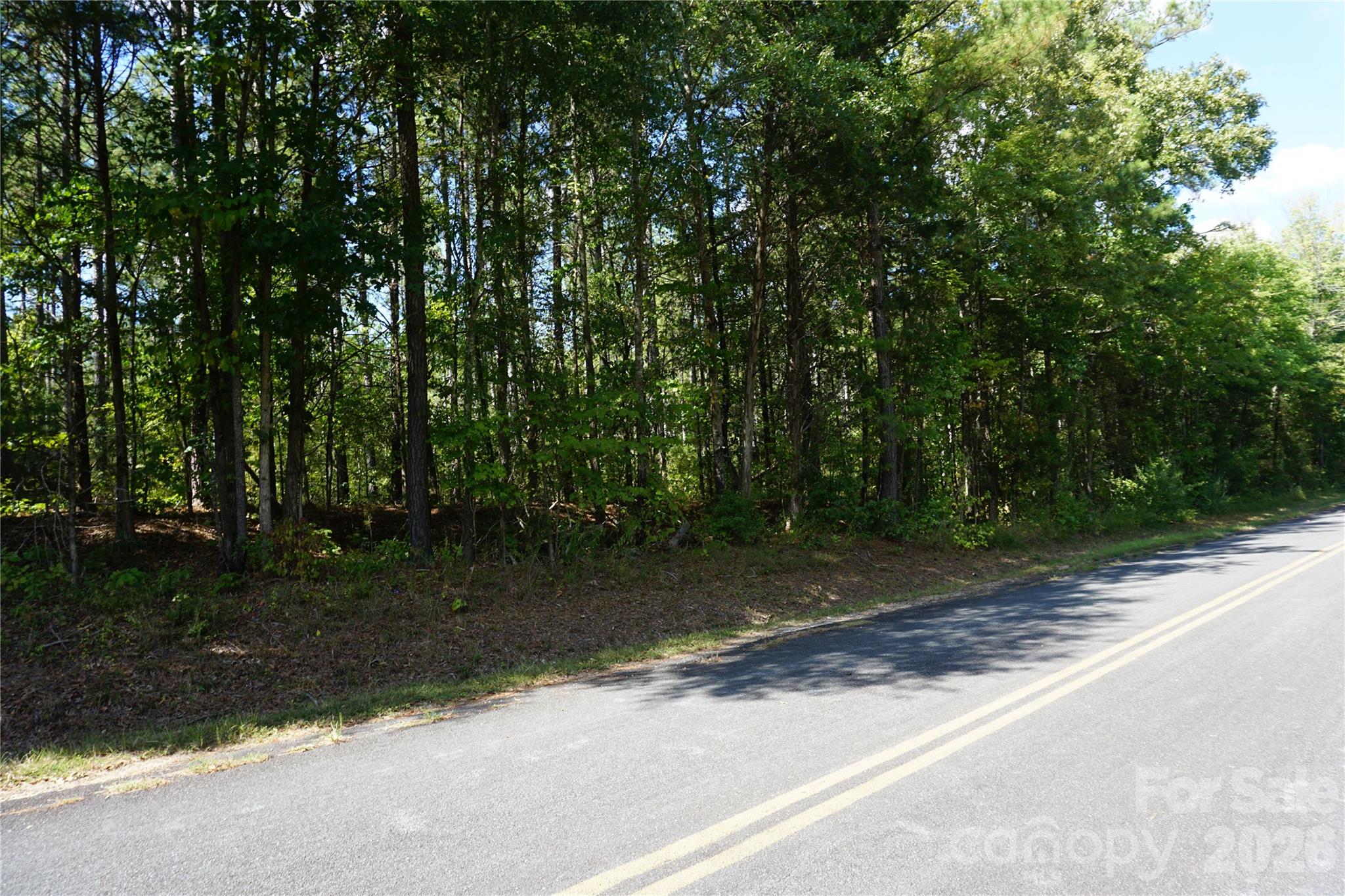 6+/- Ac Lot 1 Parson Road Property Photo 19