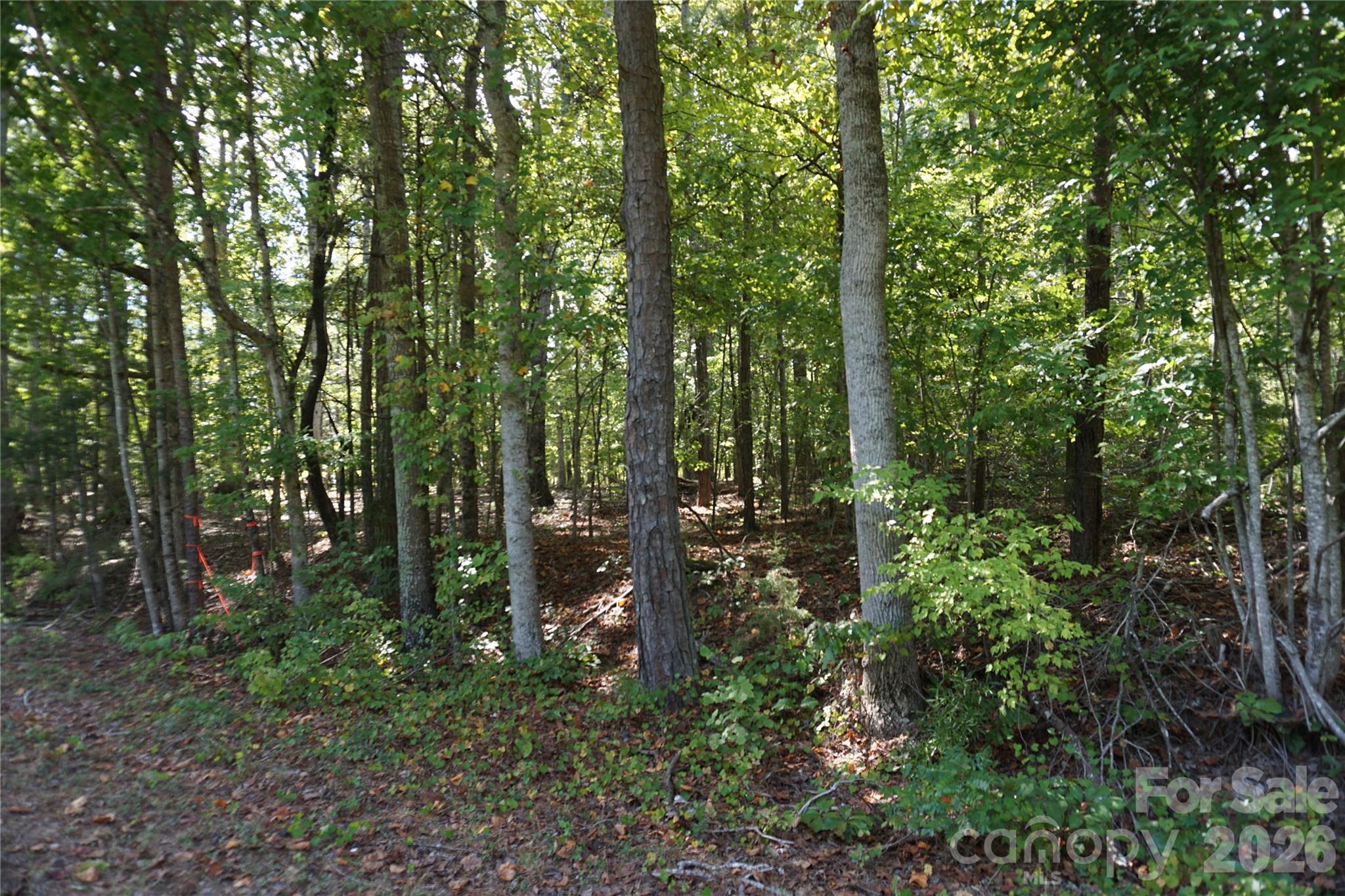6+/- Ac Lot 1 Parson Road Property Photo 20