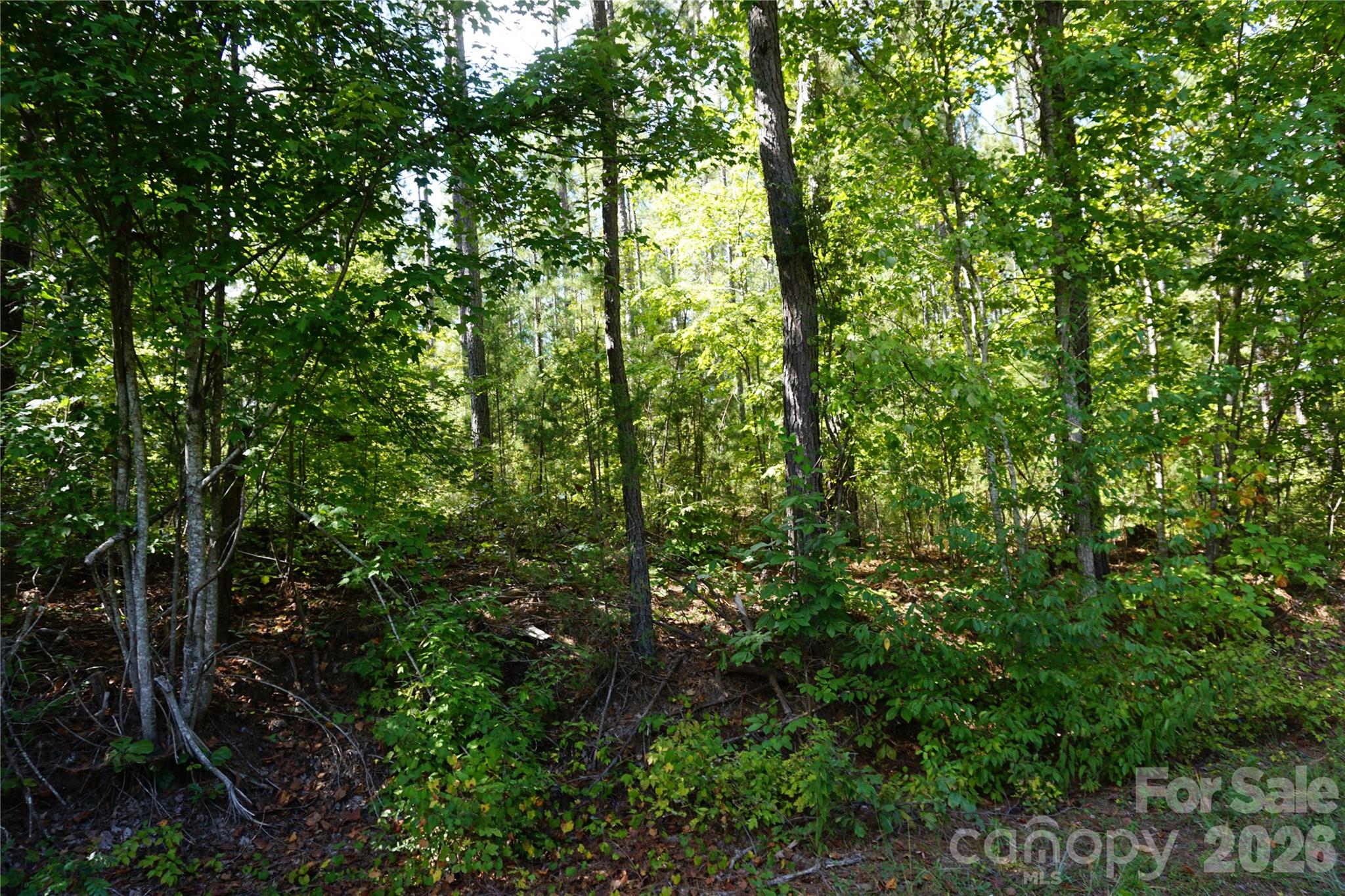 6+/- Ac Lot 1 Parson Road Property Photo 21