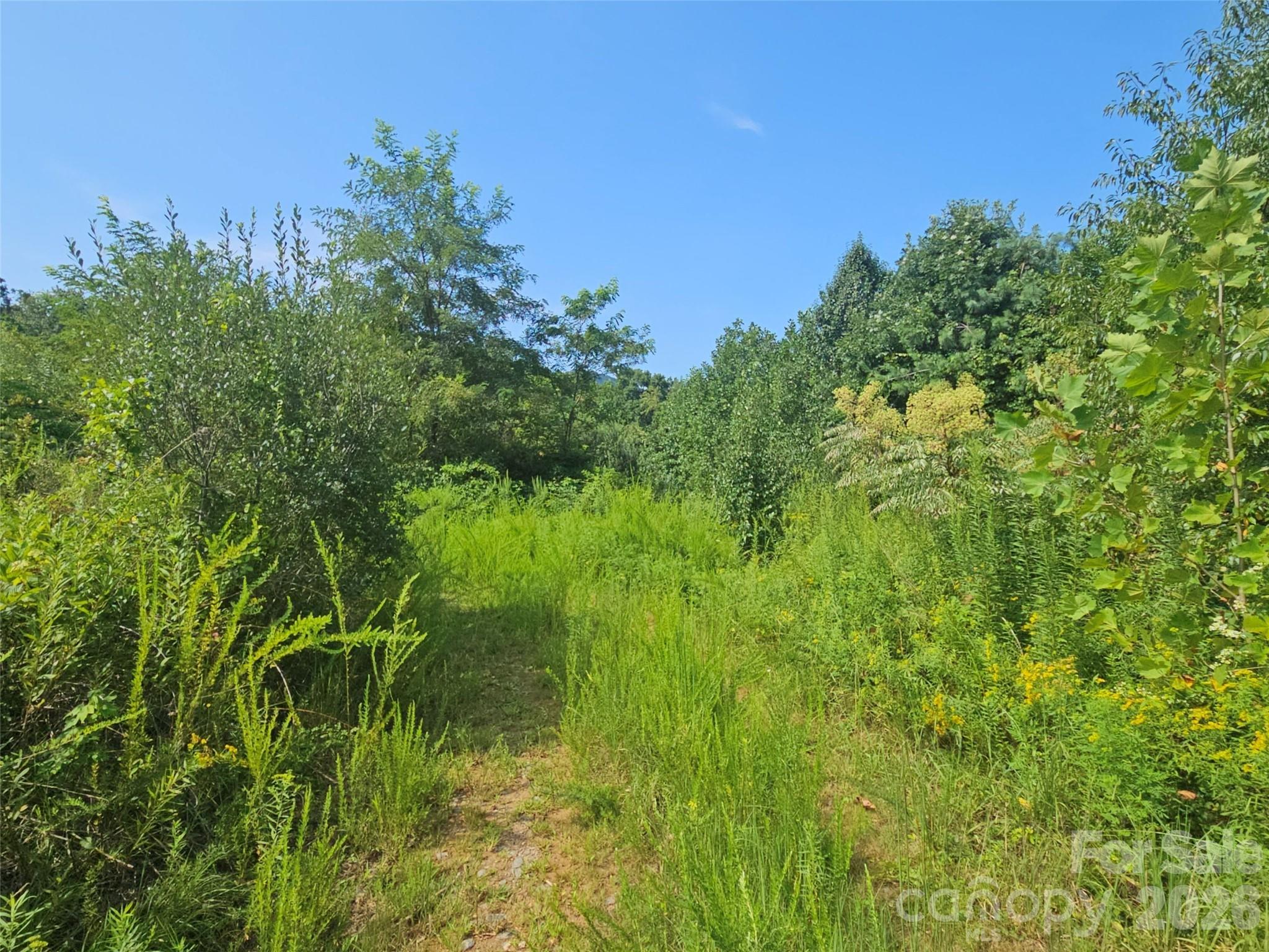 522 Buckeye Access Road Property Photo 6