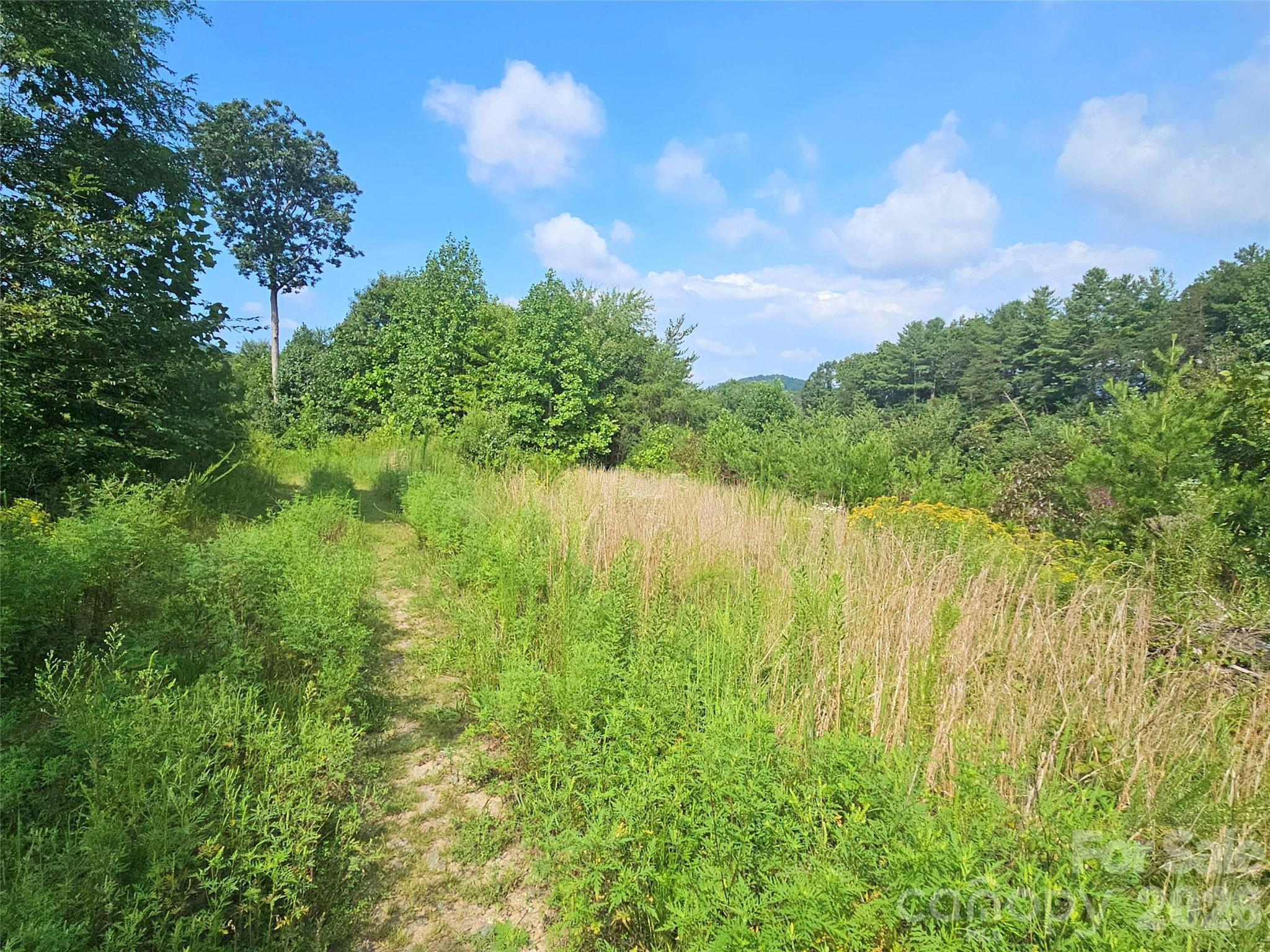 522 Buckeye Access Road Property Photo 44
