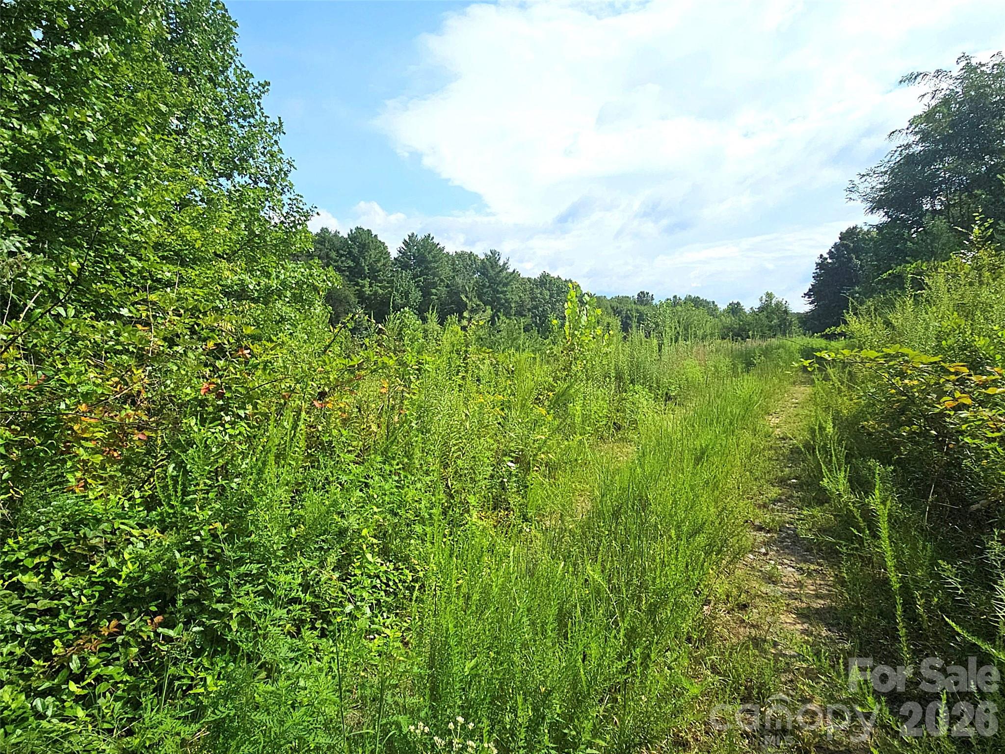 522 Buckeye Access Road Property Photo 45