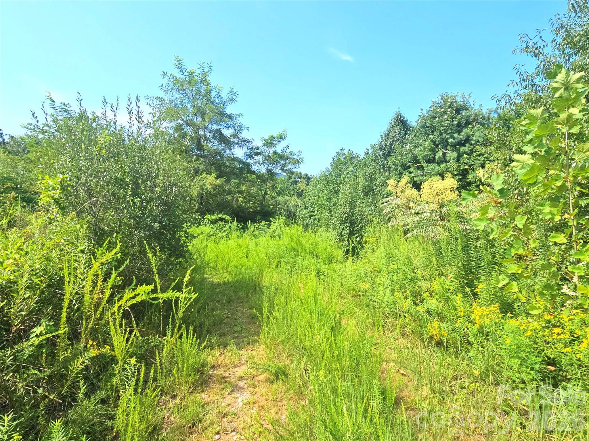 522 Buckeye Access Road Property Photo 46