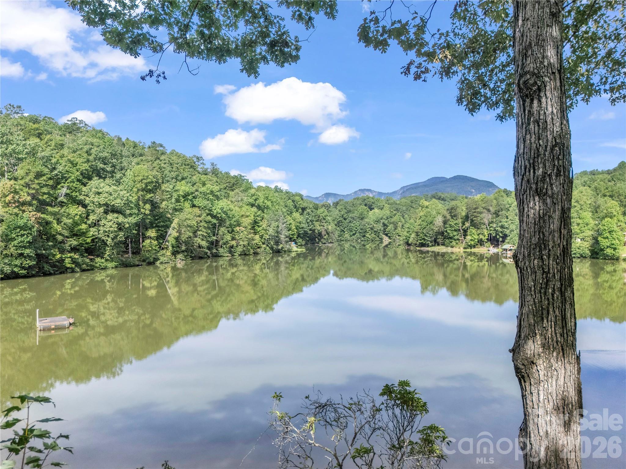 1050 Buffalo Shoals Road Property Photo 46
