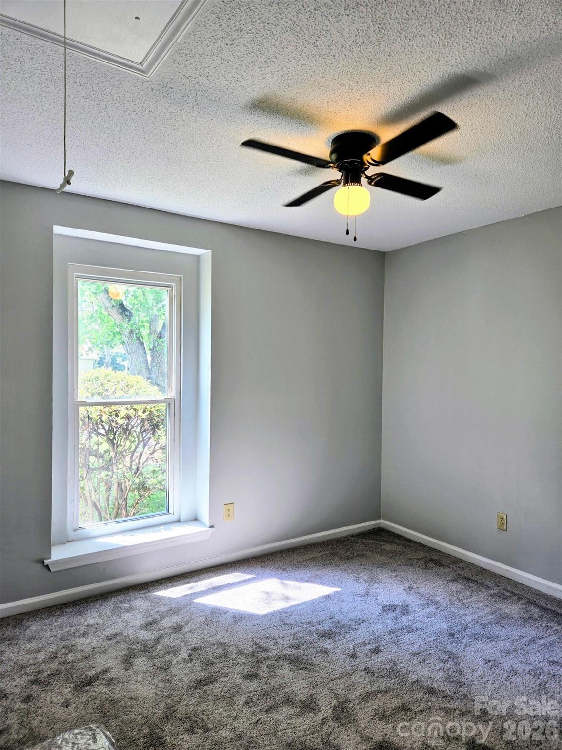 11318 Treebark Drive Property Photo 11