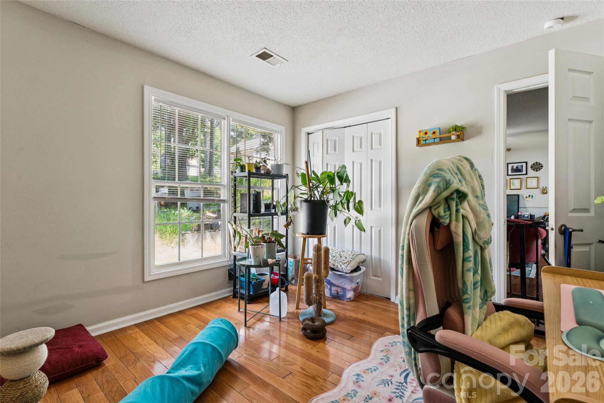 227/229 Pethel Street Property Photo 19