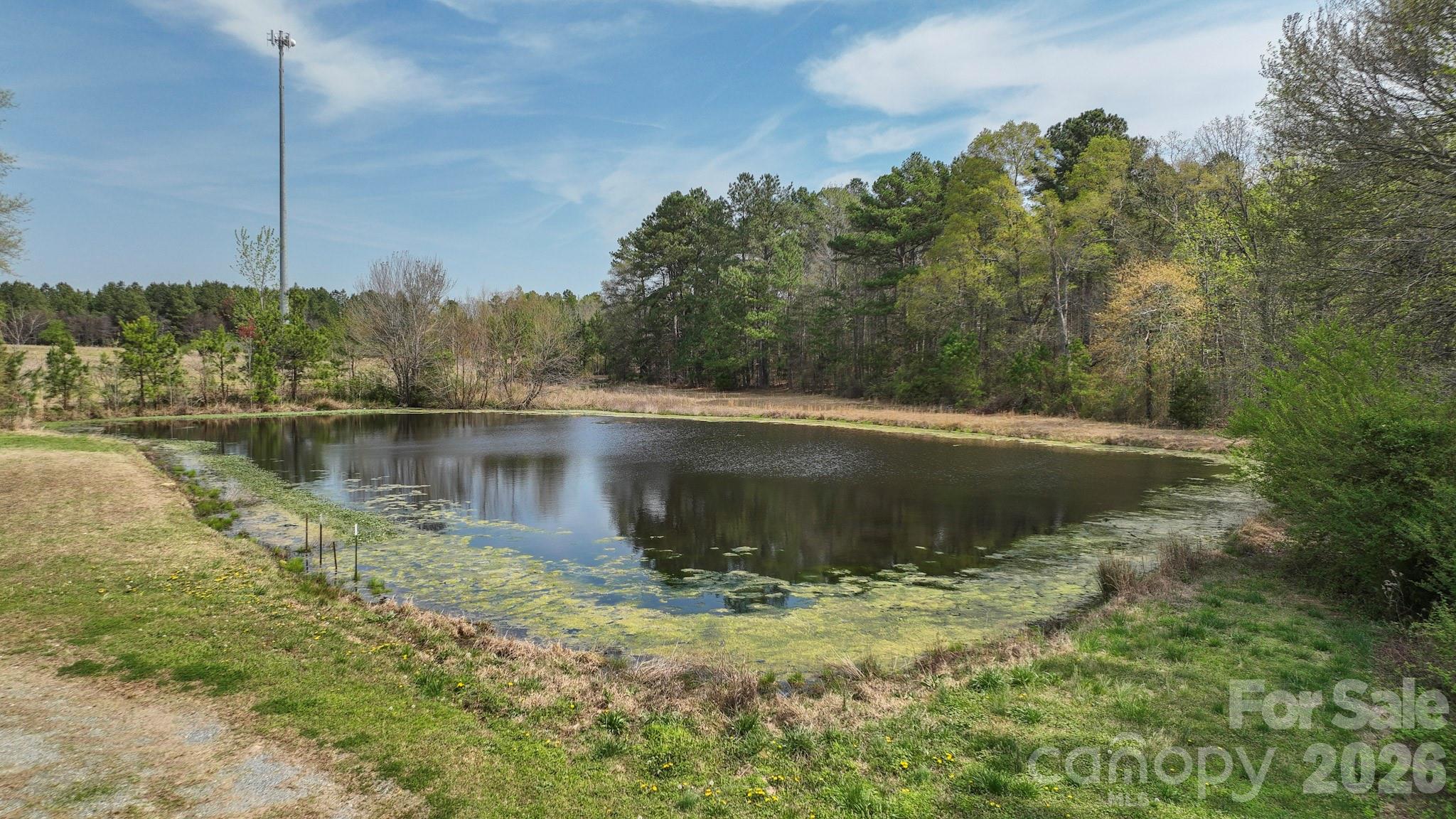7301 Wolf Pond Road Property Photo 10