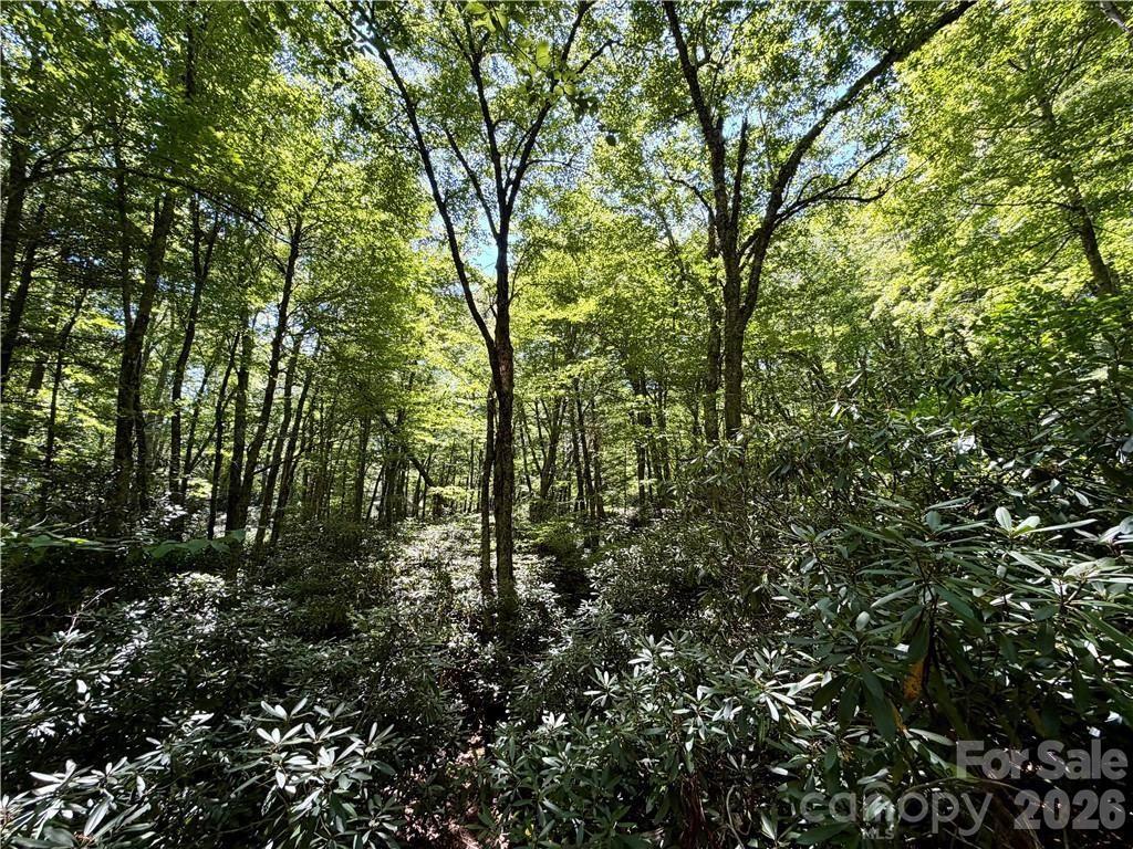 Tbd Boulder Creek Drive 3 Property Photo 2