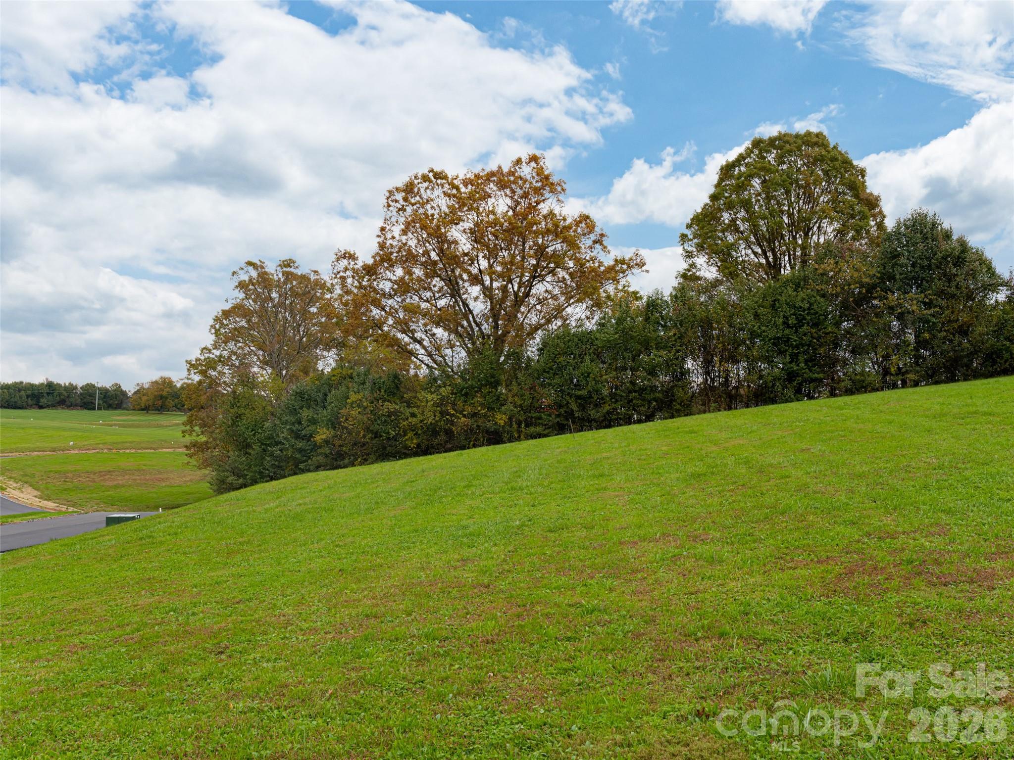 207 Soapstone Trail 70 Property Photo 3