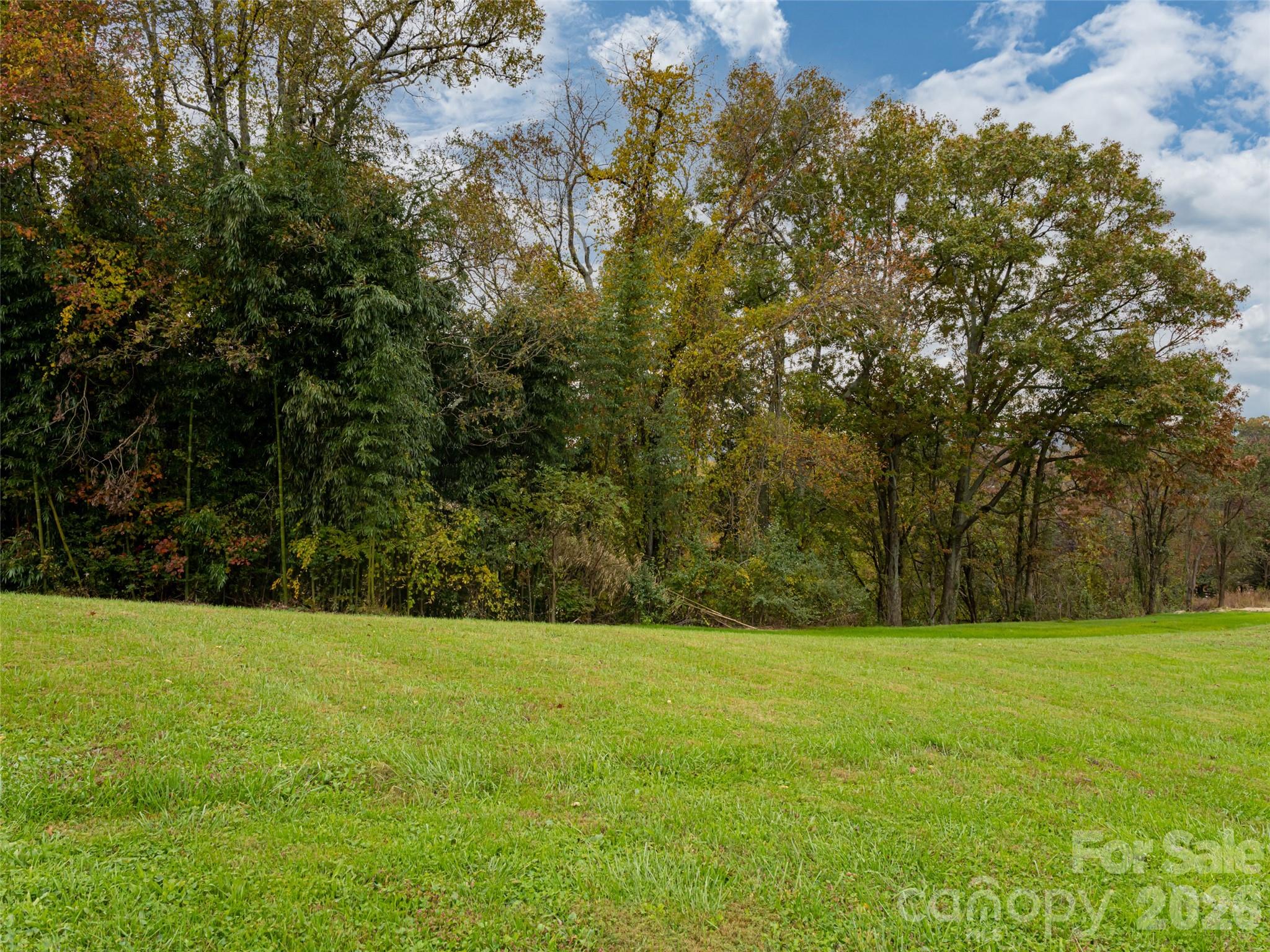 207 Soapstone Trail 70 Property Photo 9