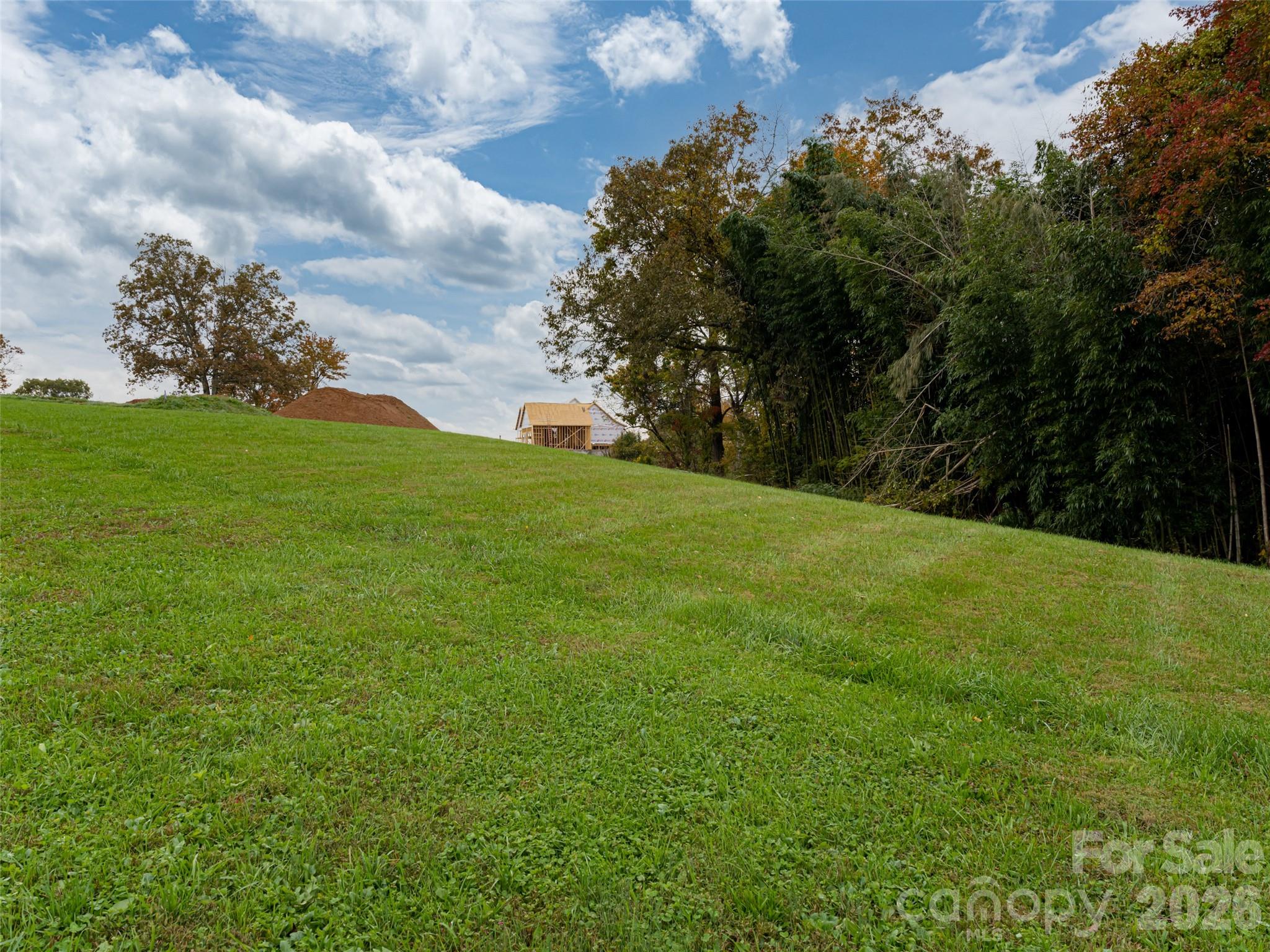 207 Soapstone Trail 70 Property Photo 11