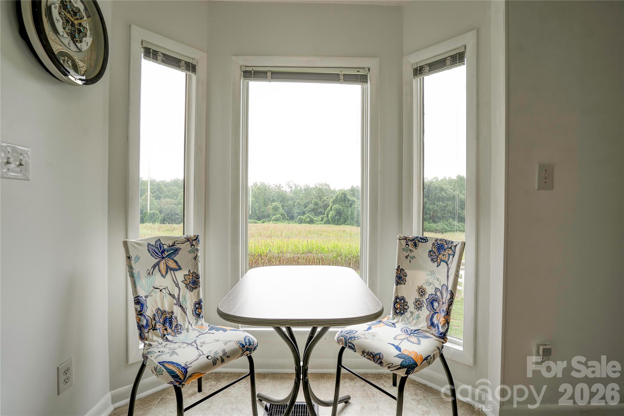 8 Charger Court Property Photo 6